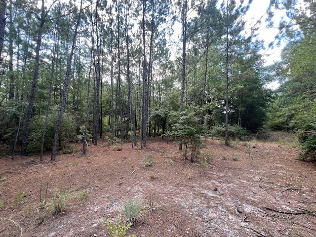16653 Blountstown Highway, Tallahassee, Florida image 11