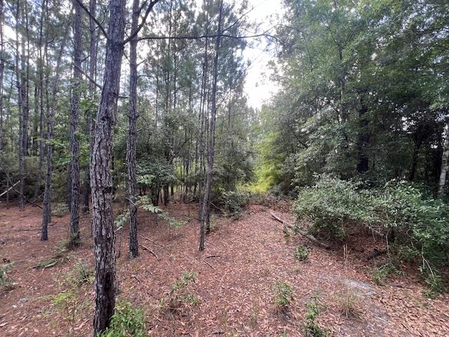 16653 Blountstown Highway, Tallahassee, Florida image 12