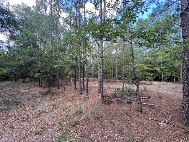 16653 Blountstown Highway, Tallahassee, Florida image 13