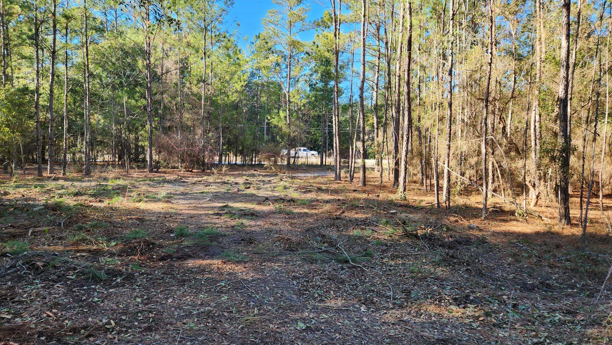 16653 Blountstown Highway, Tallahassee, Florida image 2