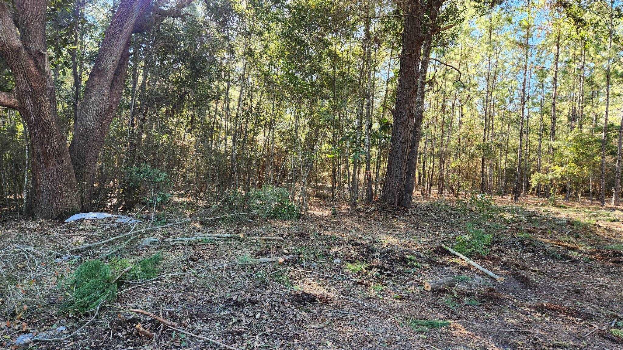 16653 Blountstown Highway, Tallahassee, Florida image 3