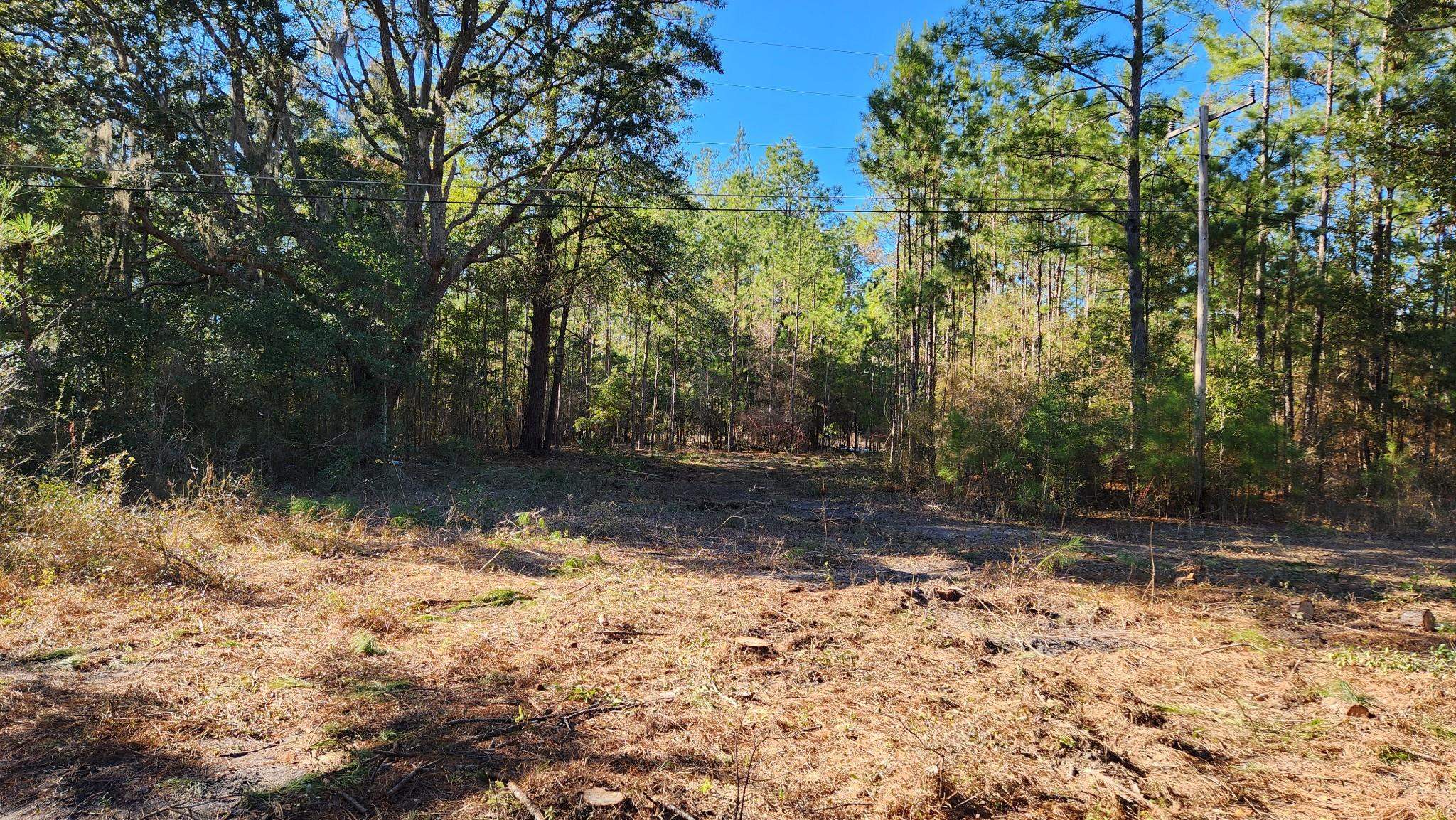 16653 Blountstown Highway, Tallahassee, Florida image 4