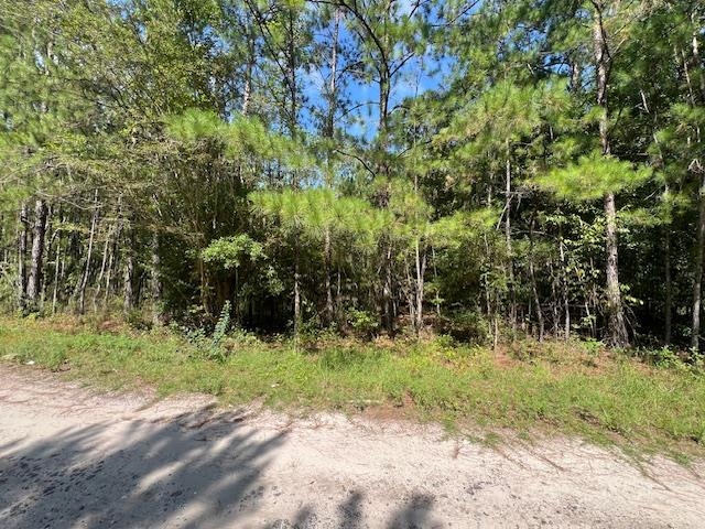 16653 Blountstown Highway, Tallahassee, Florida image 6