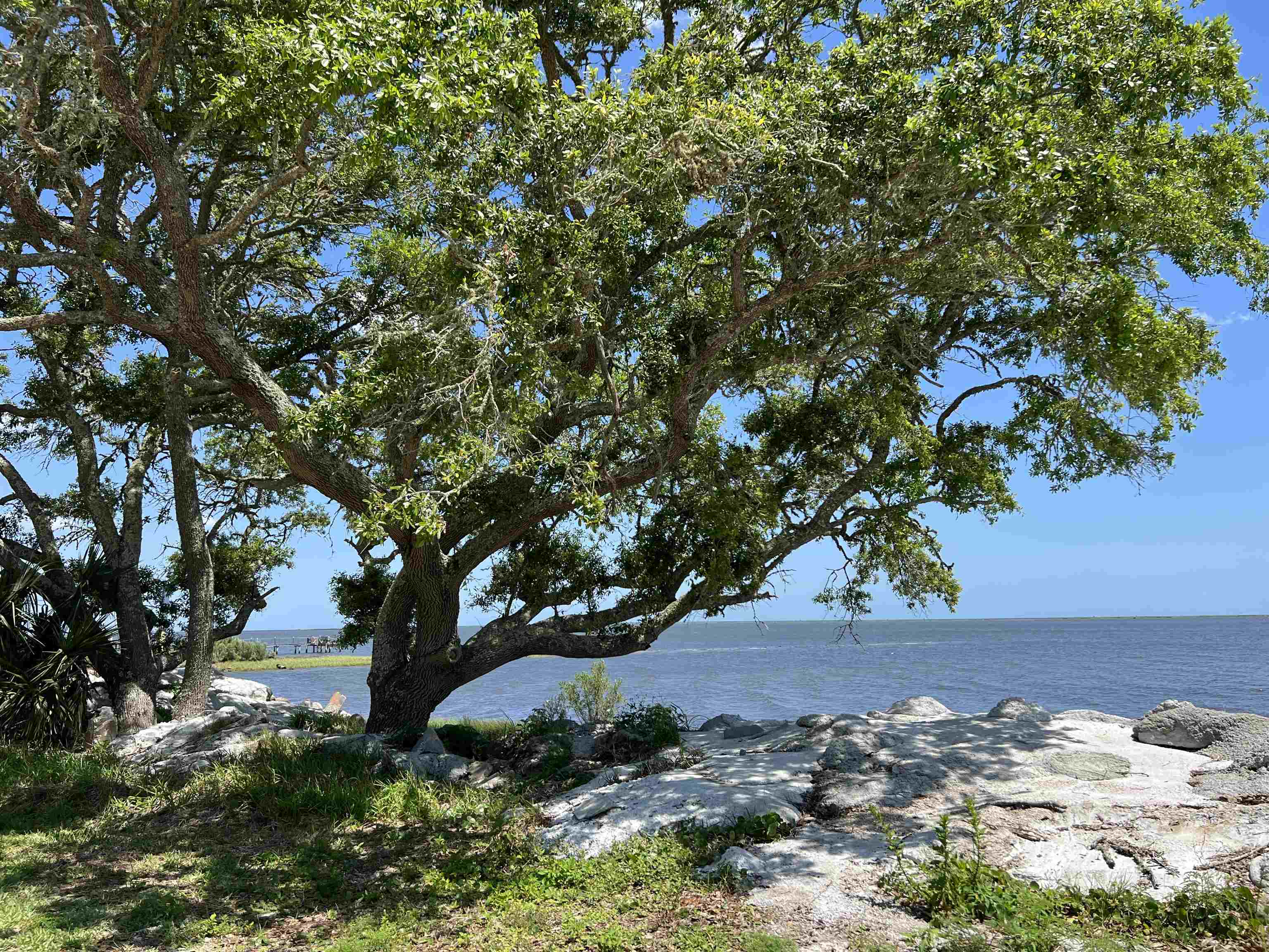 2183 Oak Street, Carrabelle, Florida image 31