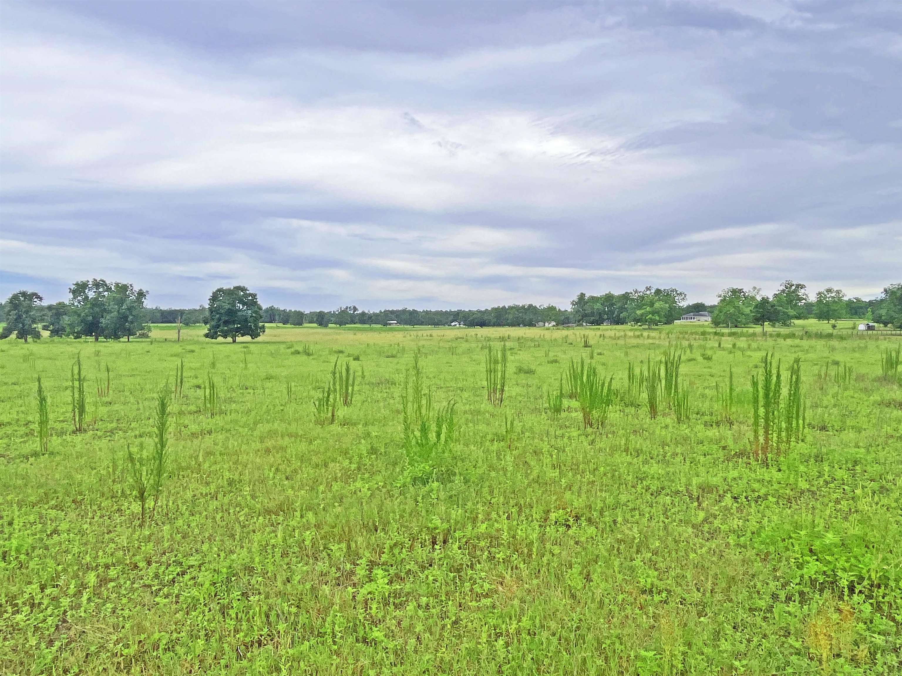 TBD St Augustine Rd Parcel #1, Monticello, Florida image 4