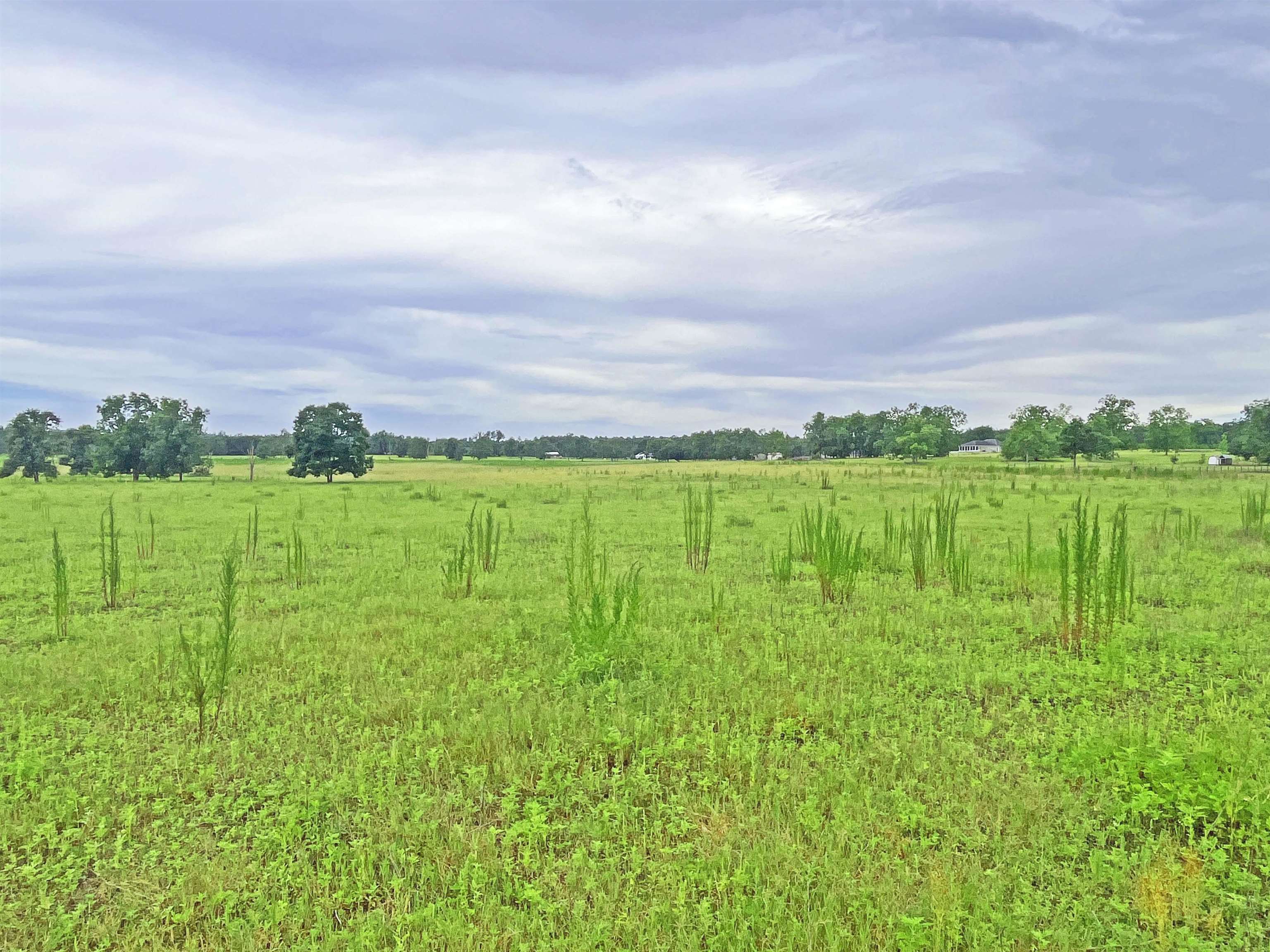 TBD St Augustine Rd Parcel #1, MONTICELLO, Florida image 4