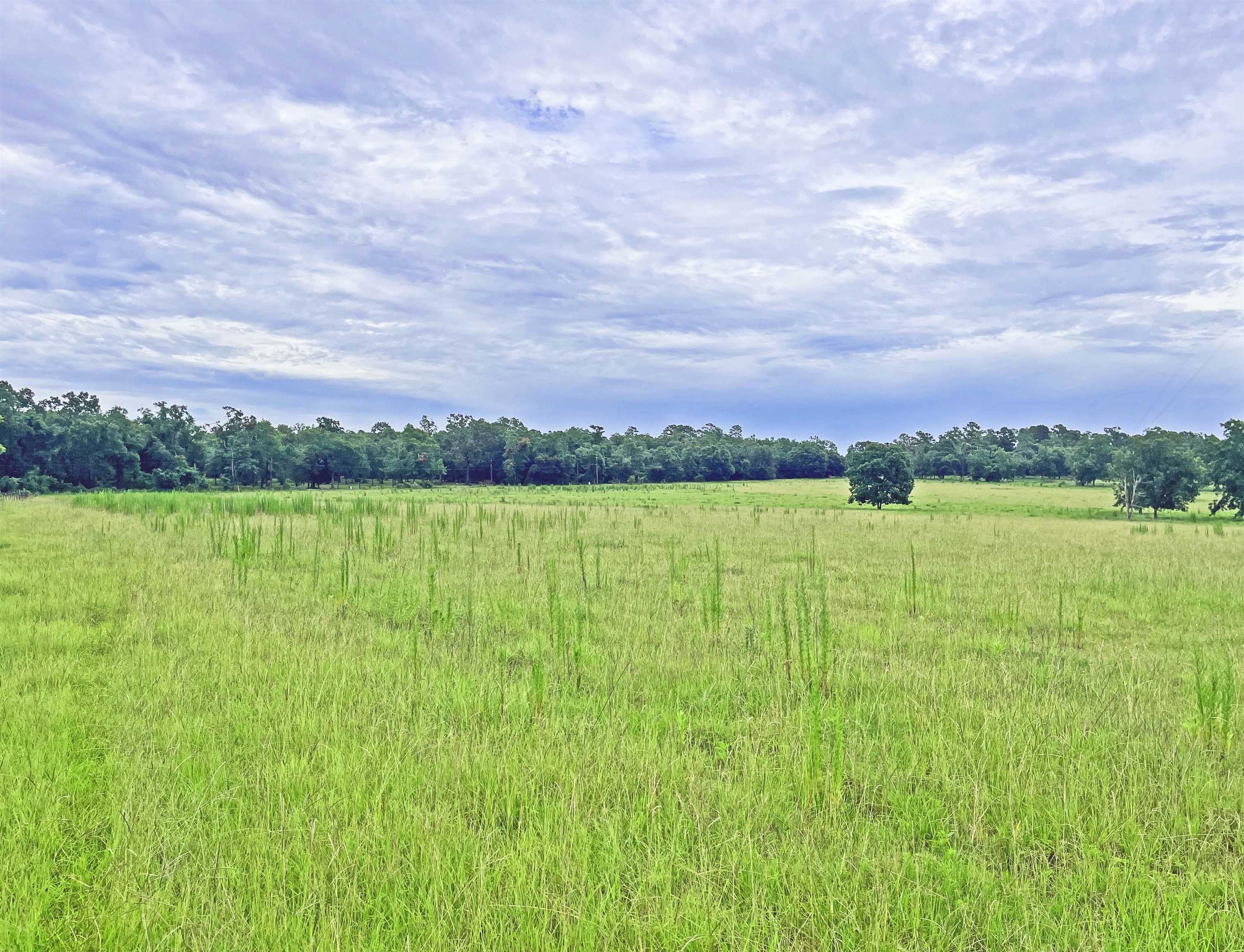 TBD St Augustine Rd Parcel #1, Monticello, Florida image 6