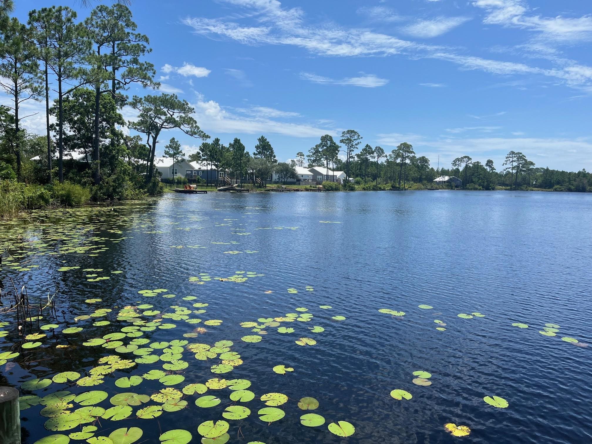 Xx Beaver Creek Lane, Havana, Florida image 1