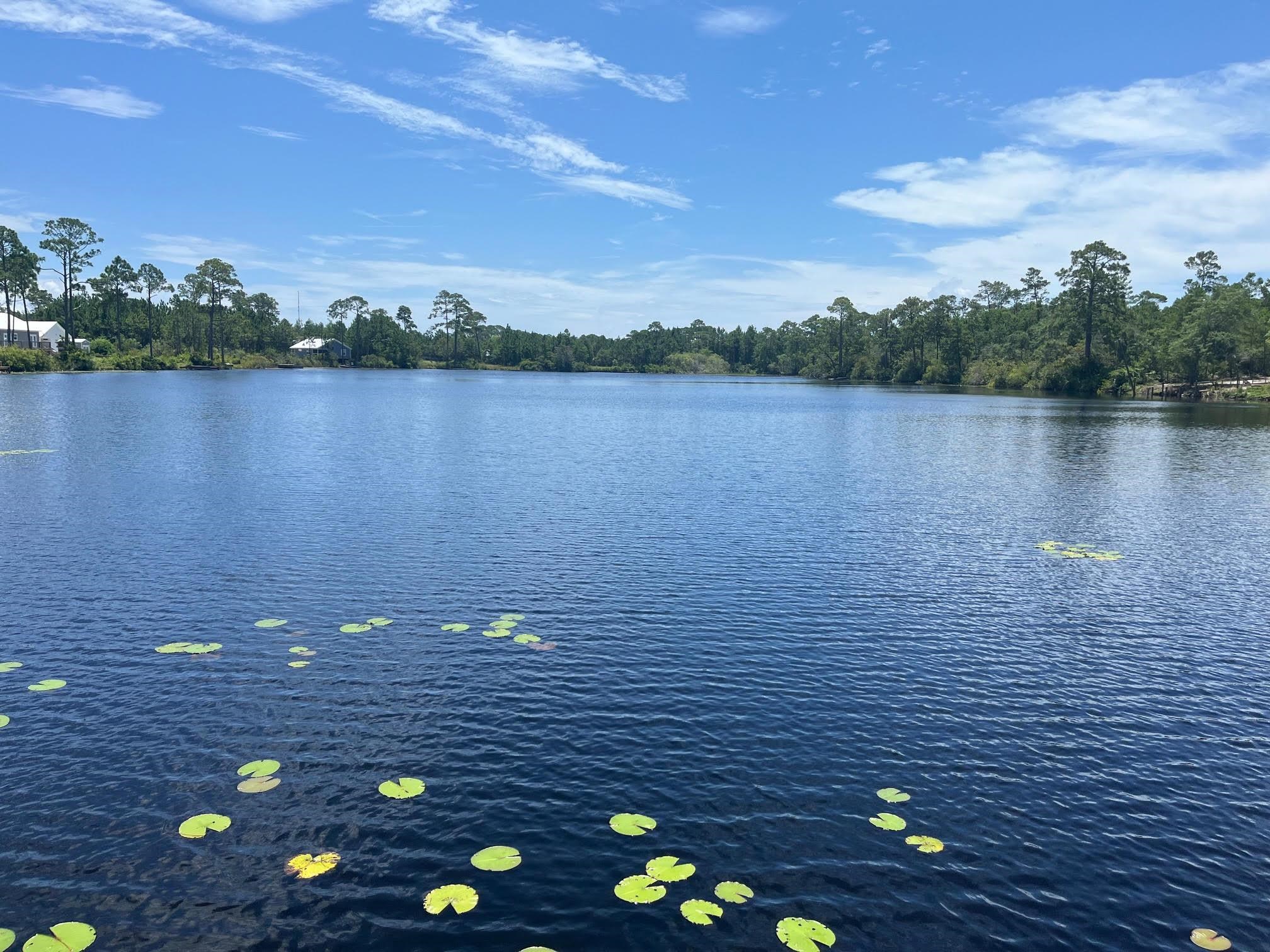 201 Folks Drive, Carrabelle, Florida image 3