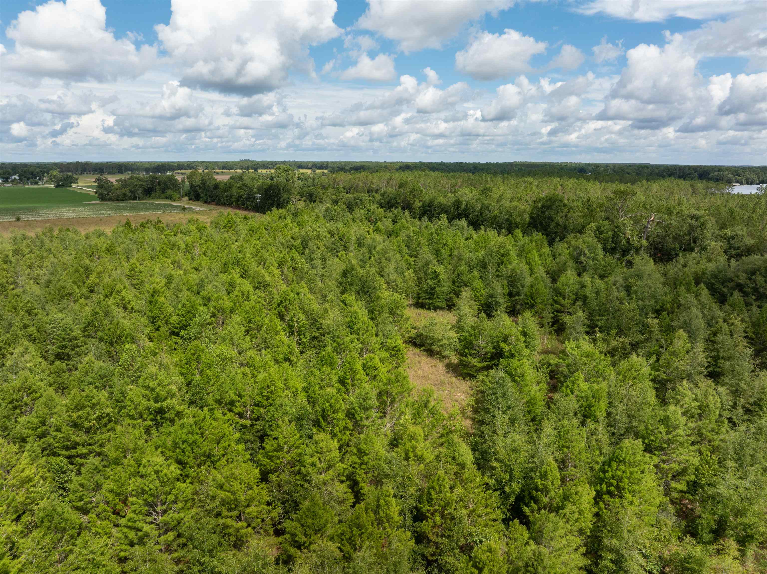 00 NE Loblolly Trail, Lee, Florida image 11