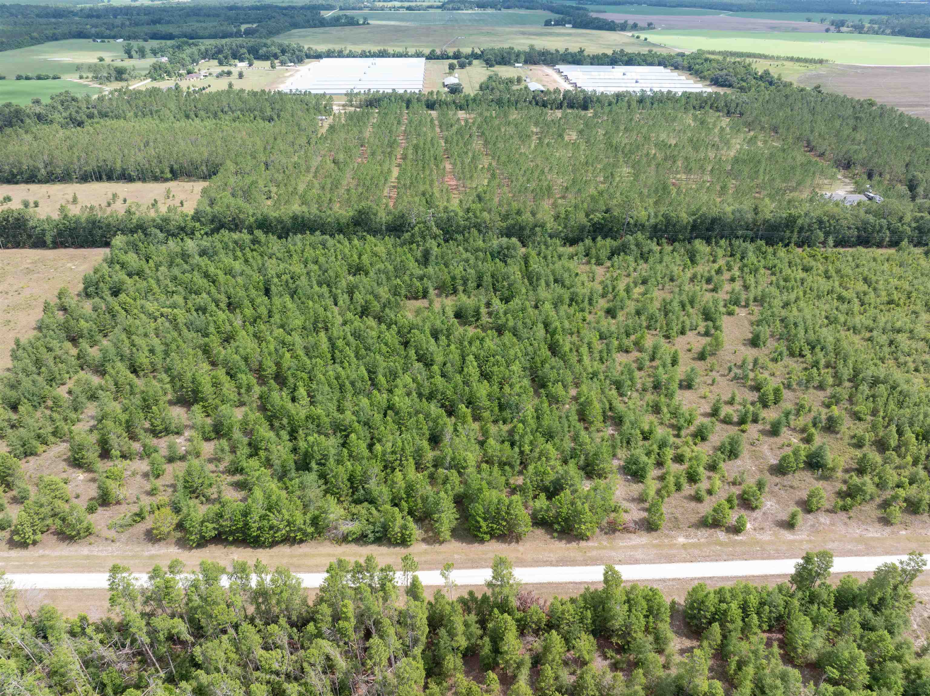 00 NE Loblolly Trail, Lee, Florida image 7