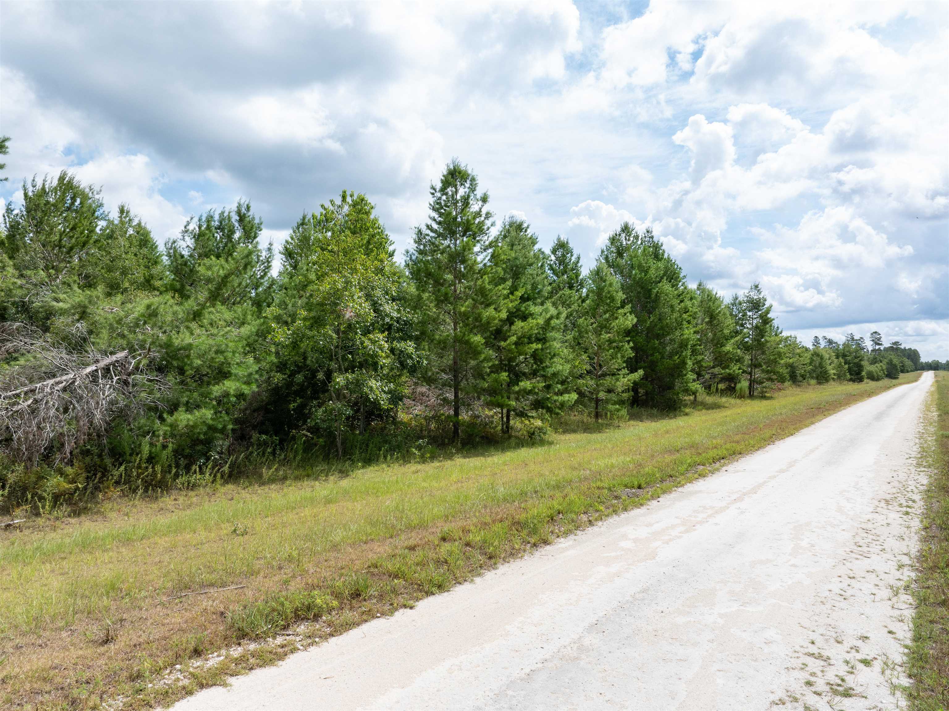 00 NE Loblolly Trail, Lee, Florida image 8