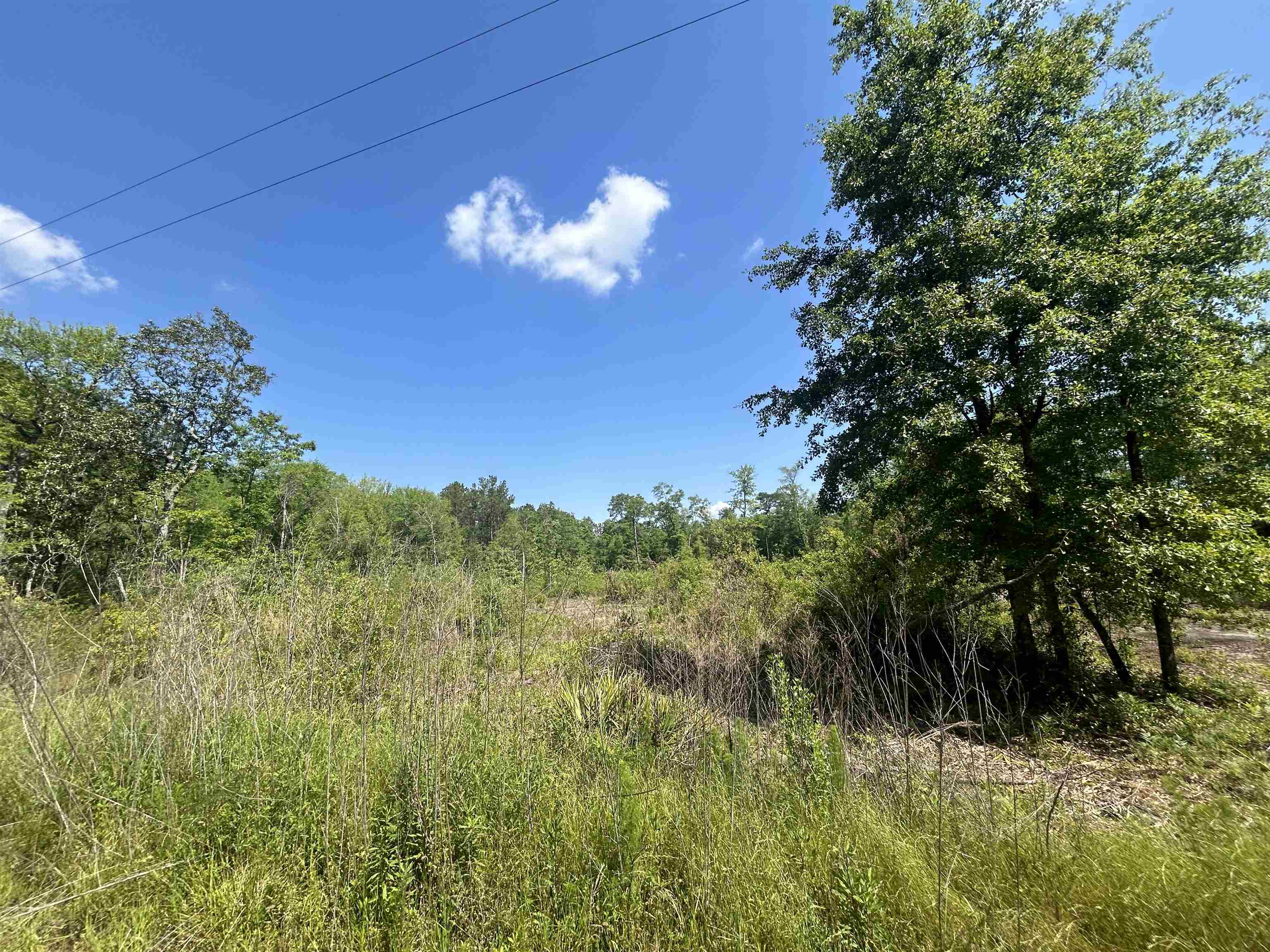 Ochlocknee River Road, Havana, Florida image 1