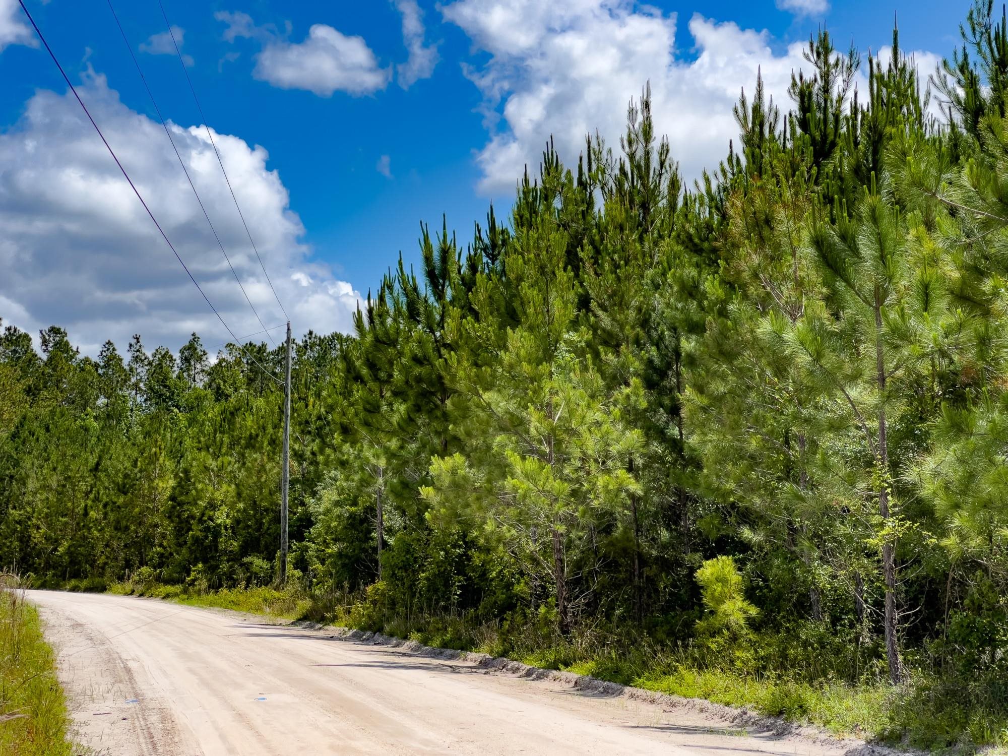 002 Brushy Hammock Road, MAYO, Florida image 16