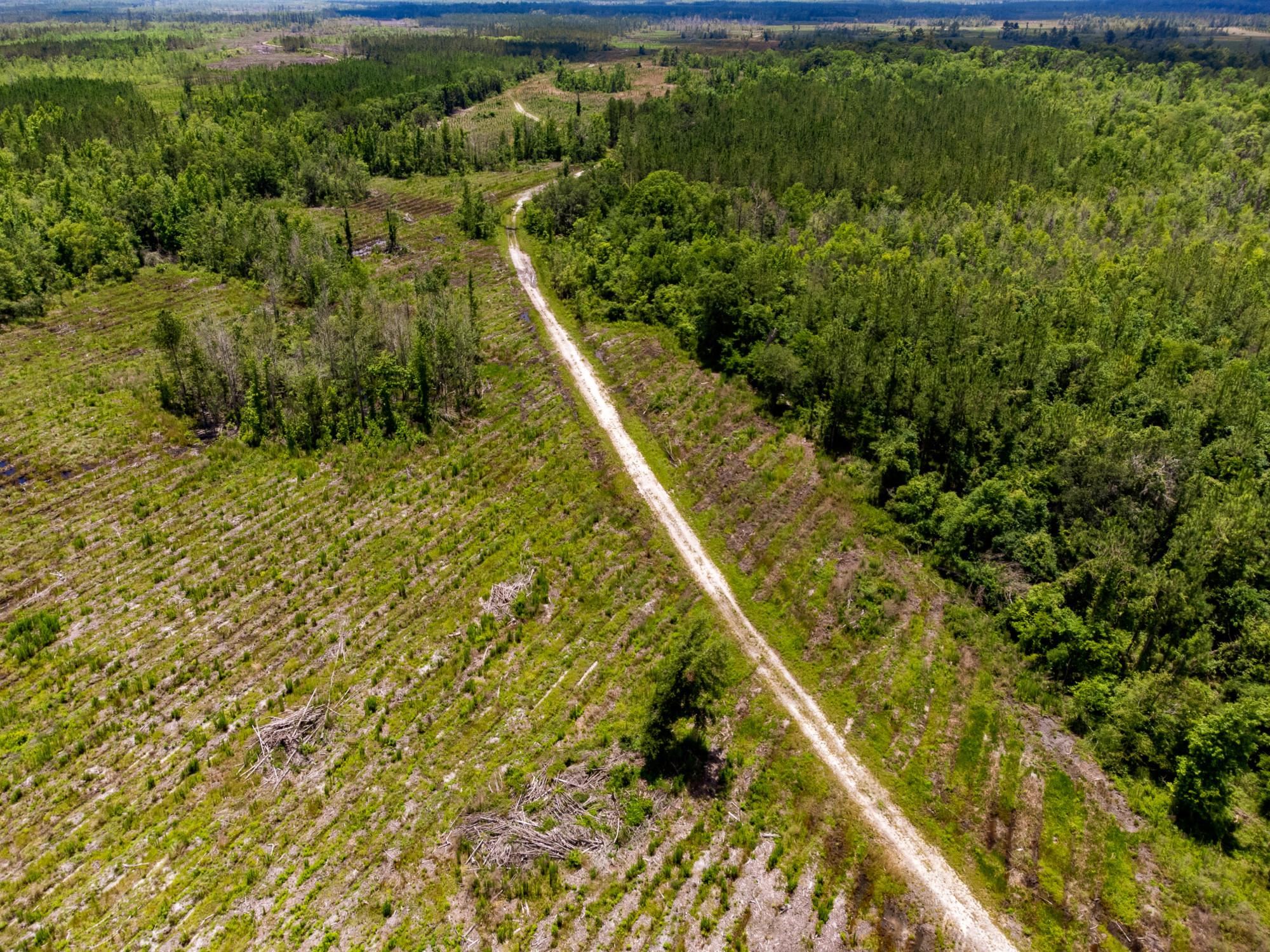 003 Brushy Hammock Road, MAYO, Florida image 14