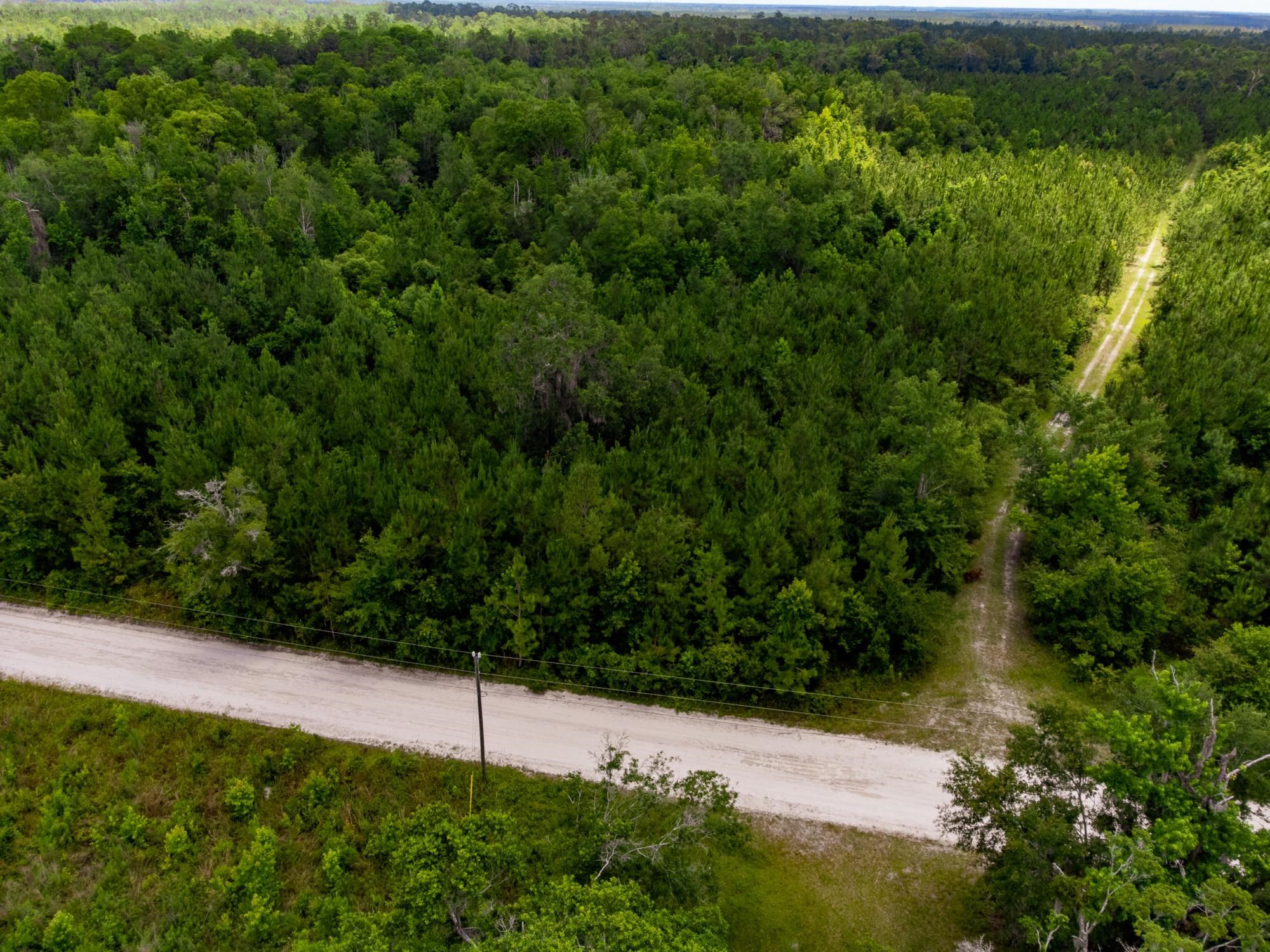 003 Brushy Hammock Road, MAYO, Florida image 4