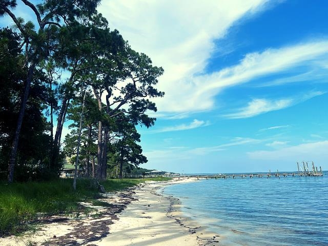 2252 Highway 98, Carrabelle, Florida image 1