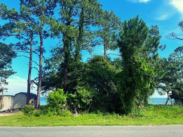 2252 Highway 98, Carrabelle, Florida image 2