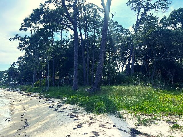 2252 Highway 98, Carrabelle, Florida image 3