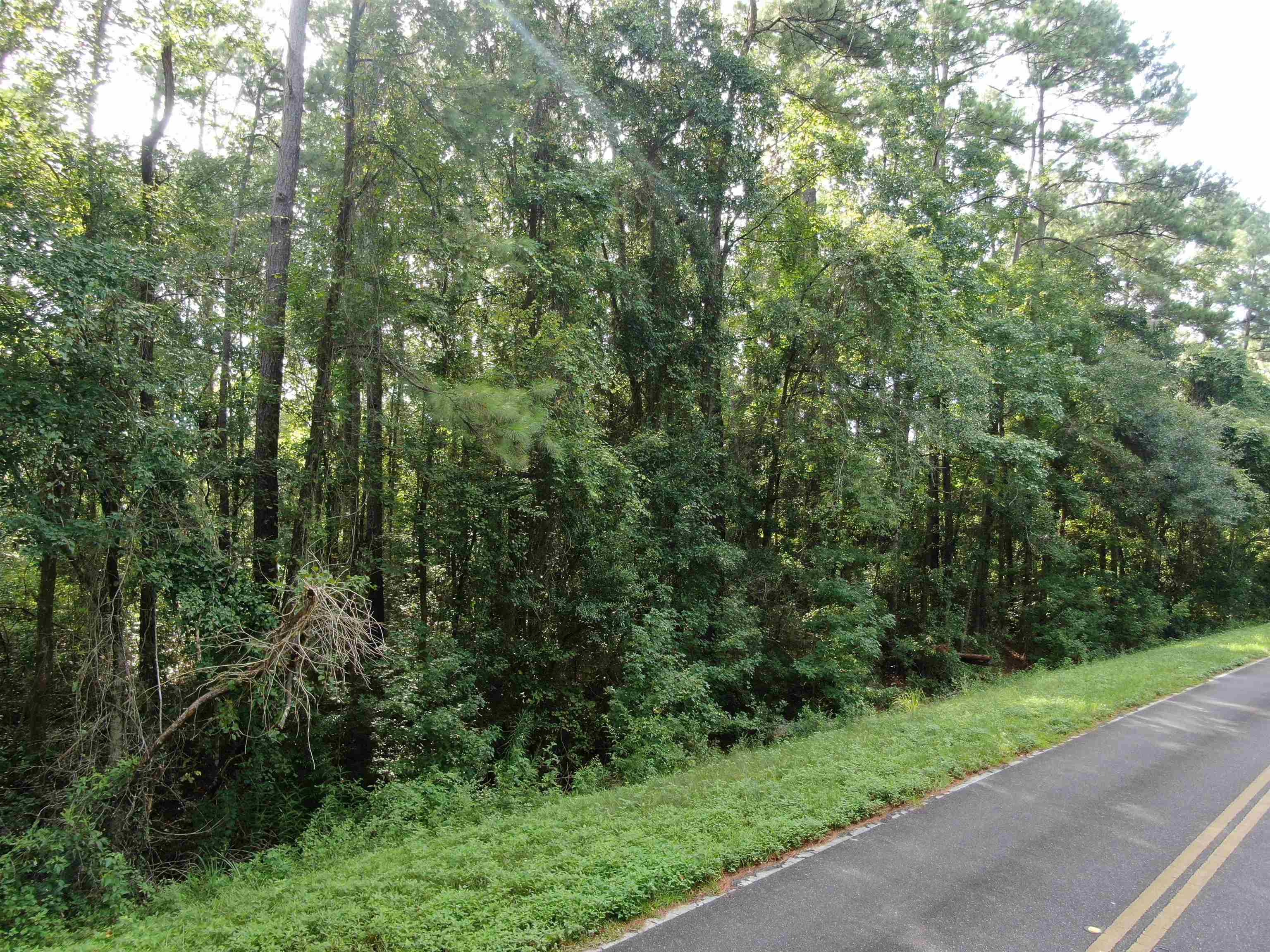 Vacant NW Cr 140, Greenville, Florida image 18