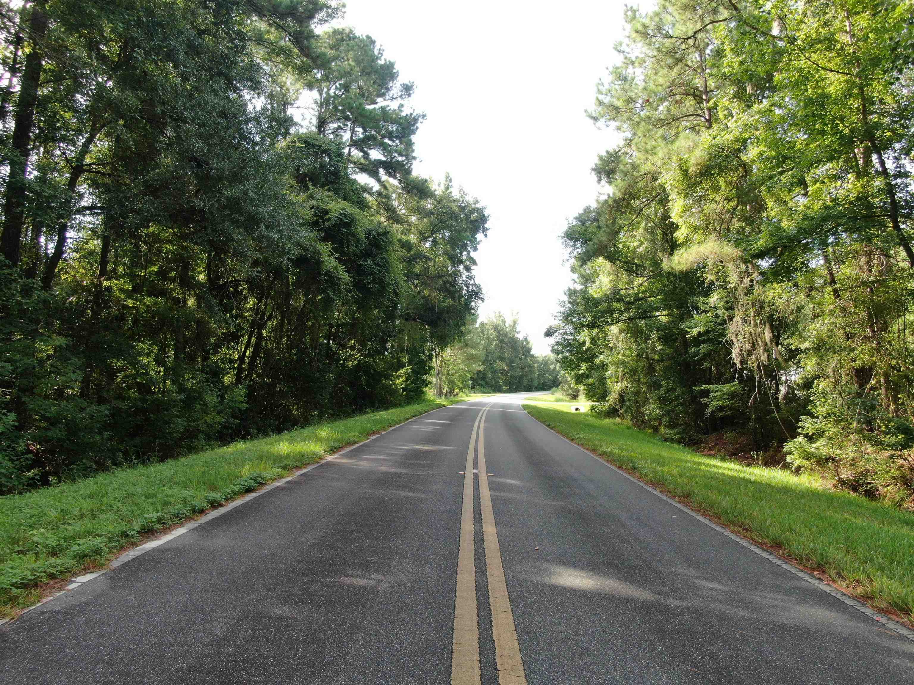 Vacant NW Cr 140, Greenville, Florida image 19