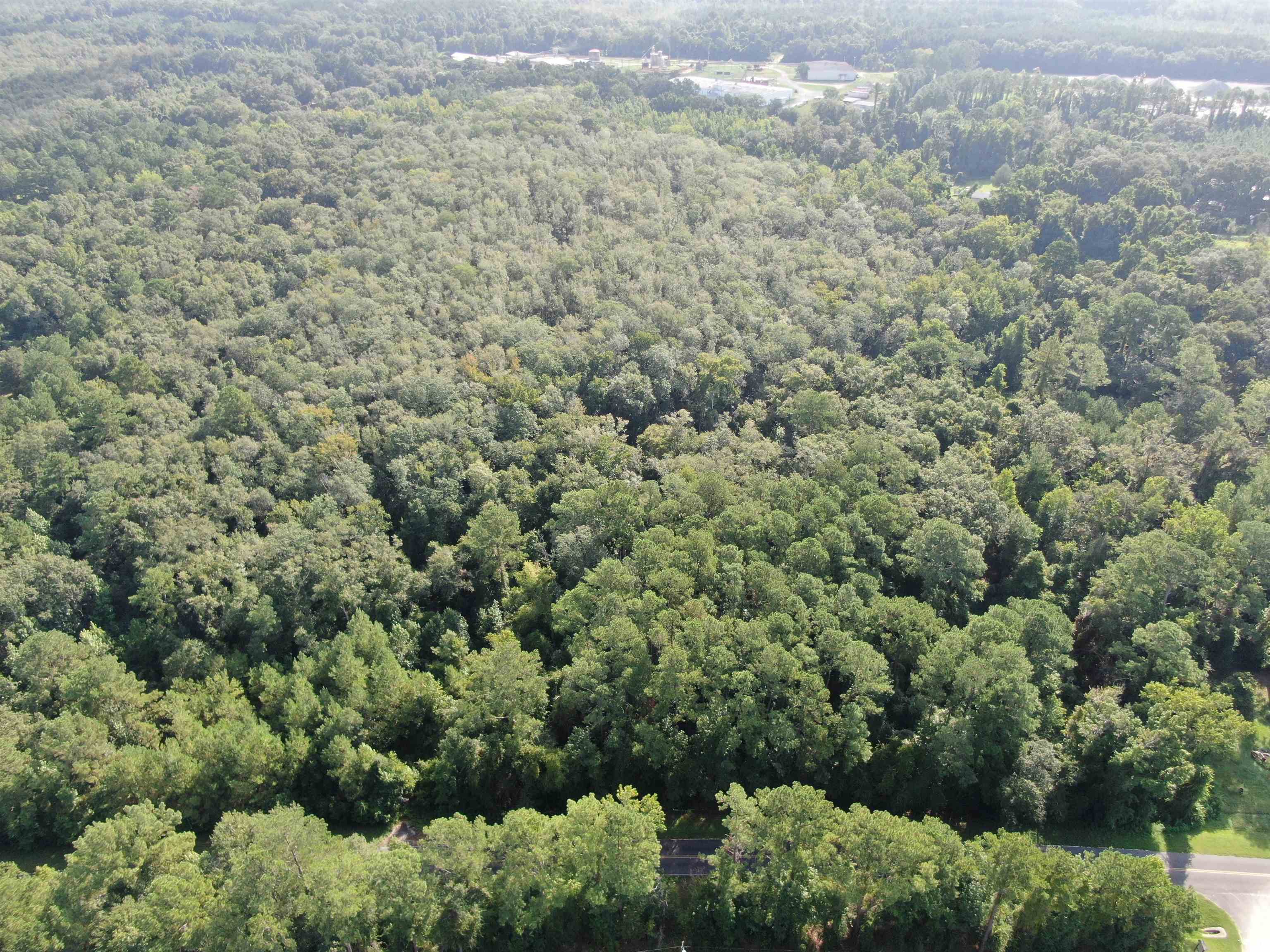 Vacant NW Cr 140, Greenville, Florida image 9