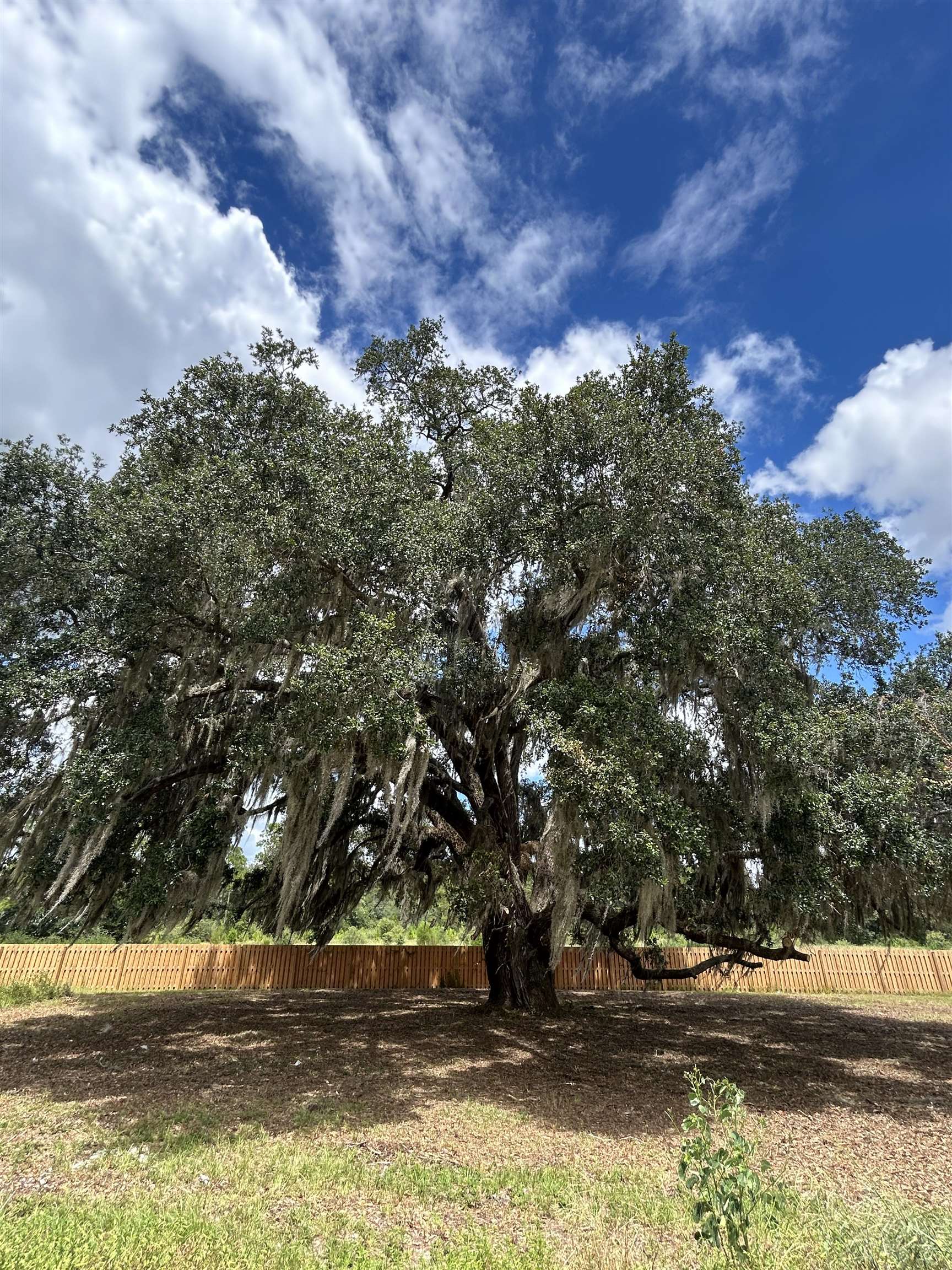 30 Arden Road, Crawfordville, Florida image 38