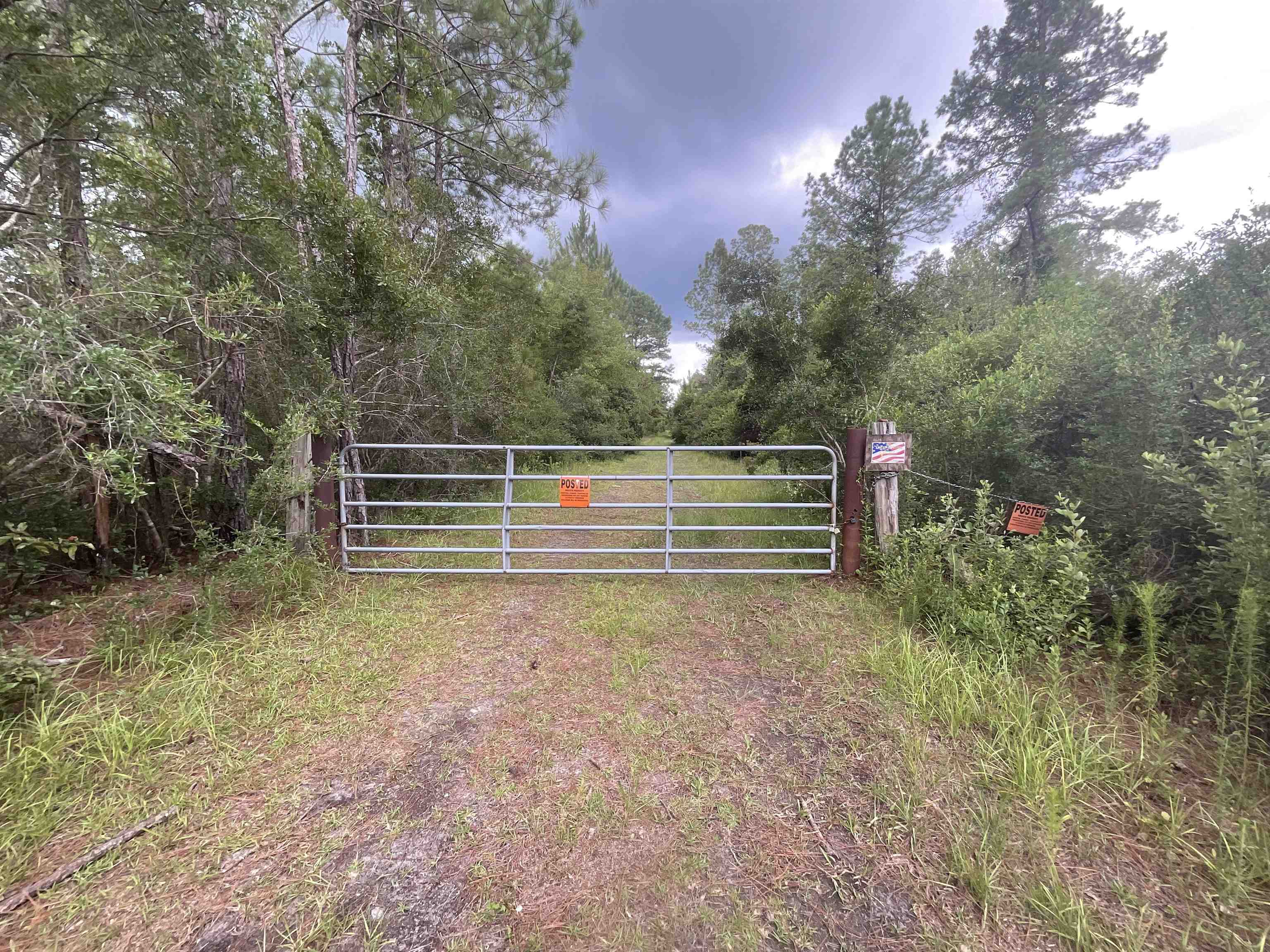 Vacant Oneal Tram Road, Lamont, Florida image 8