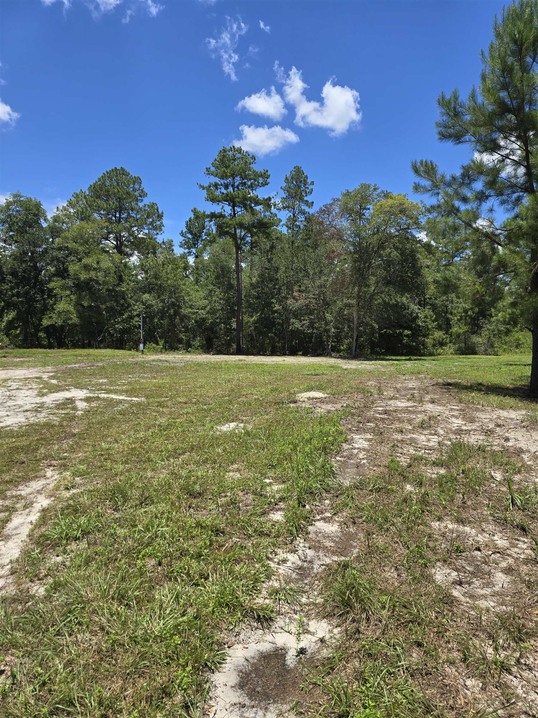 7440 Alton Wendtworth Rd, GREENVILLE, Florida image 4