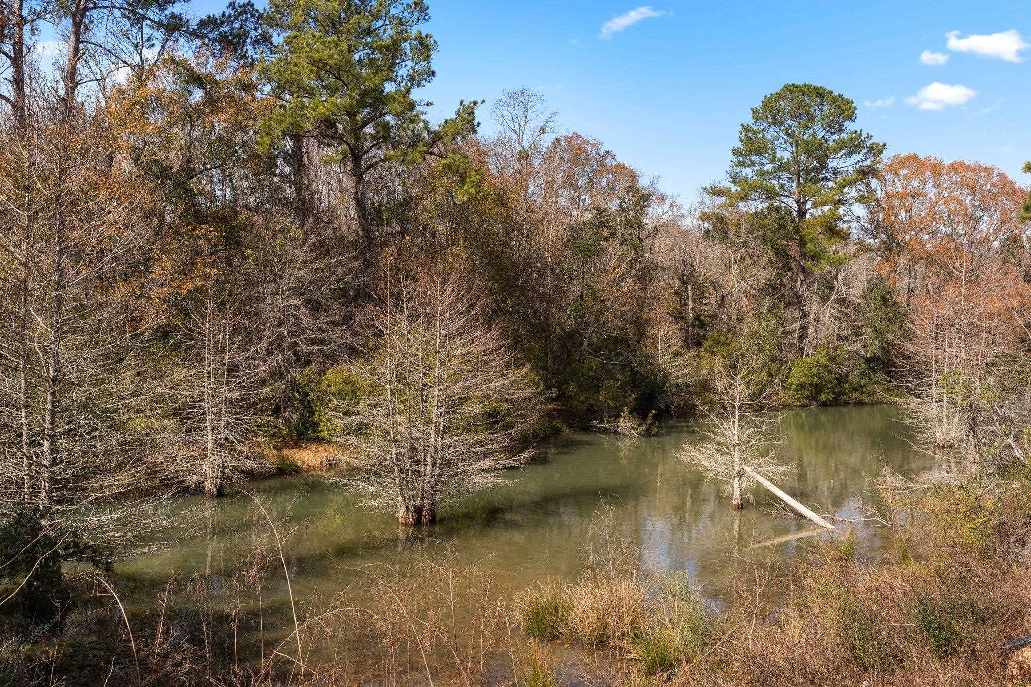 1948 Evanston Avenue #601, Tallahassee, Florida image 22