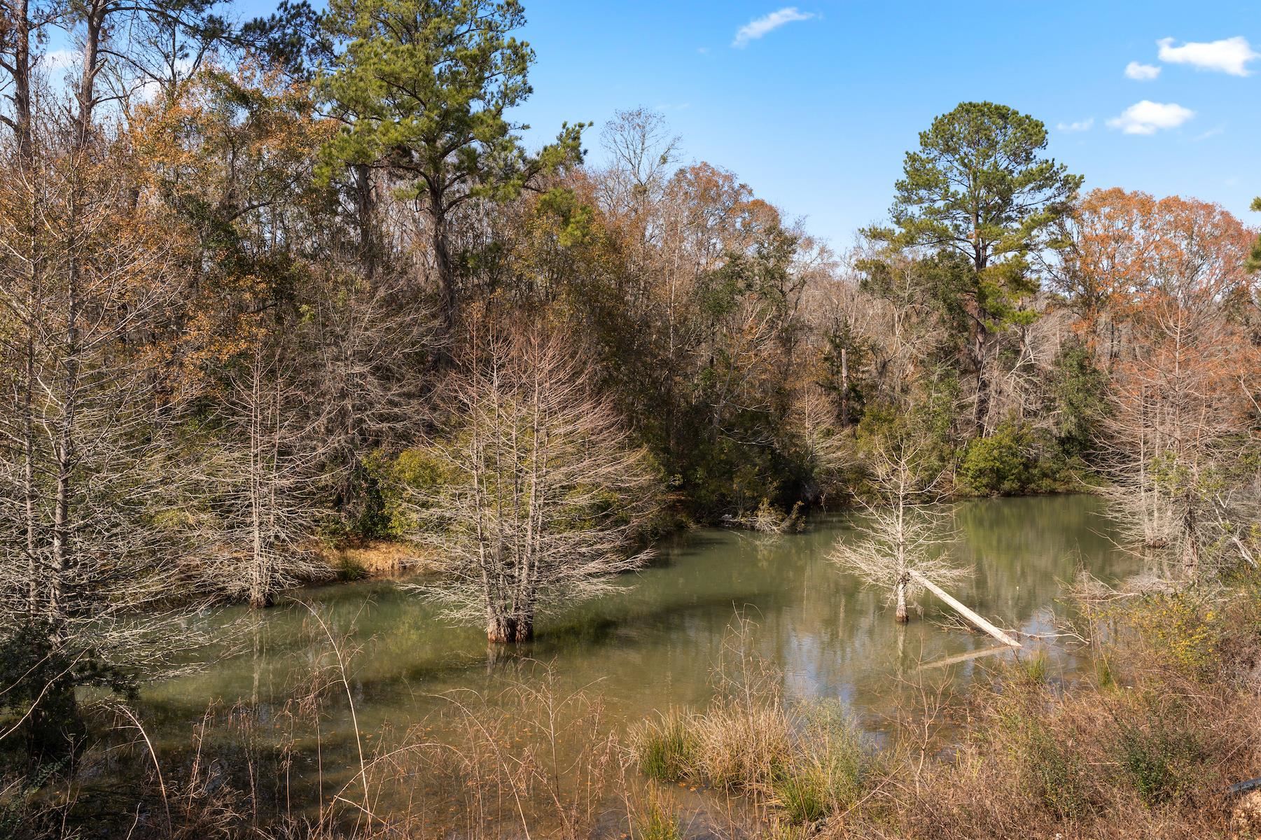 1950 Evanston Avenue #602, Tallahassee, Florida image 22