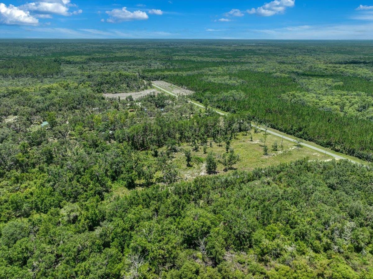 Ma Dixon Road, PERRY, Florida image 10