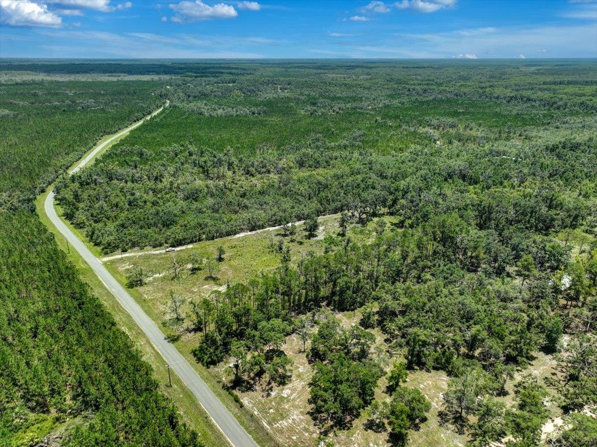 Ma Dixon Road, PERRY, Florida image 16