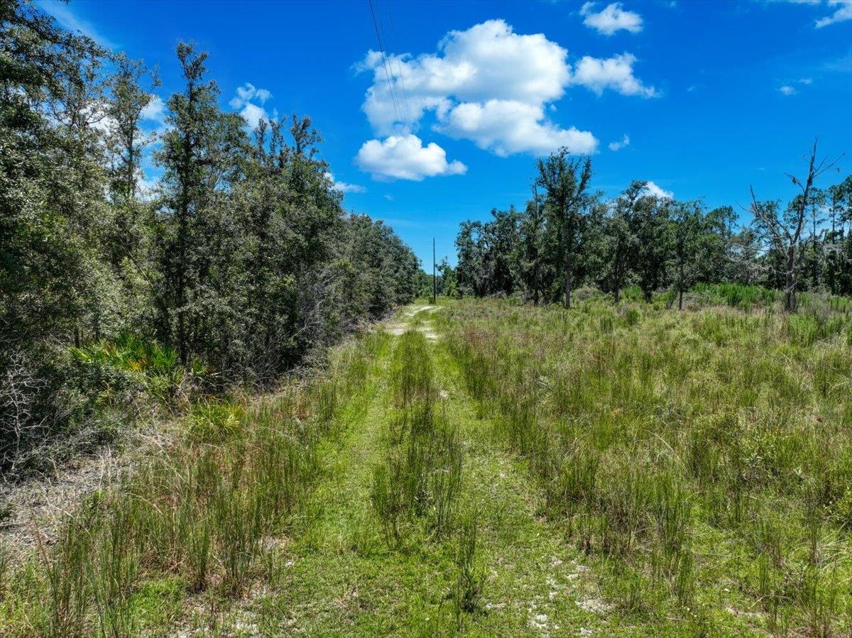 Ma Dixon Road, PERRY, Florida image 18