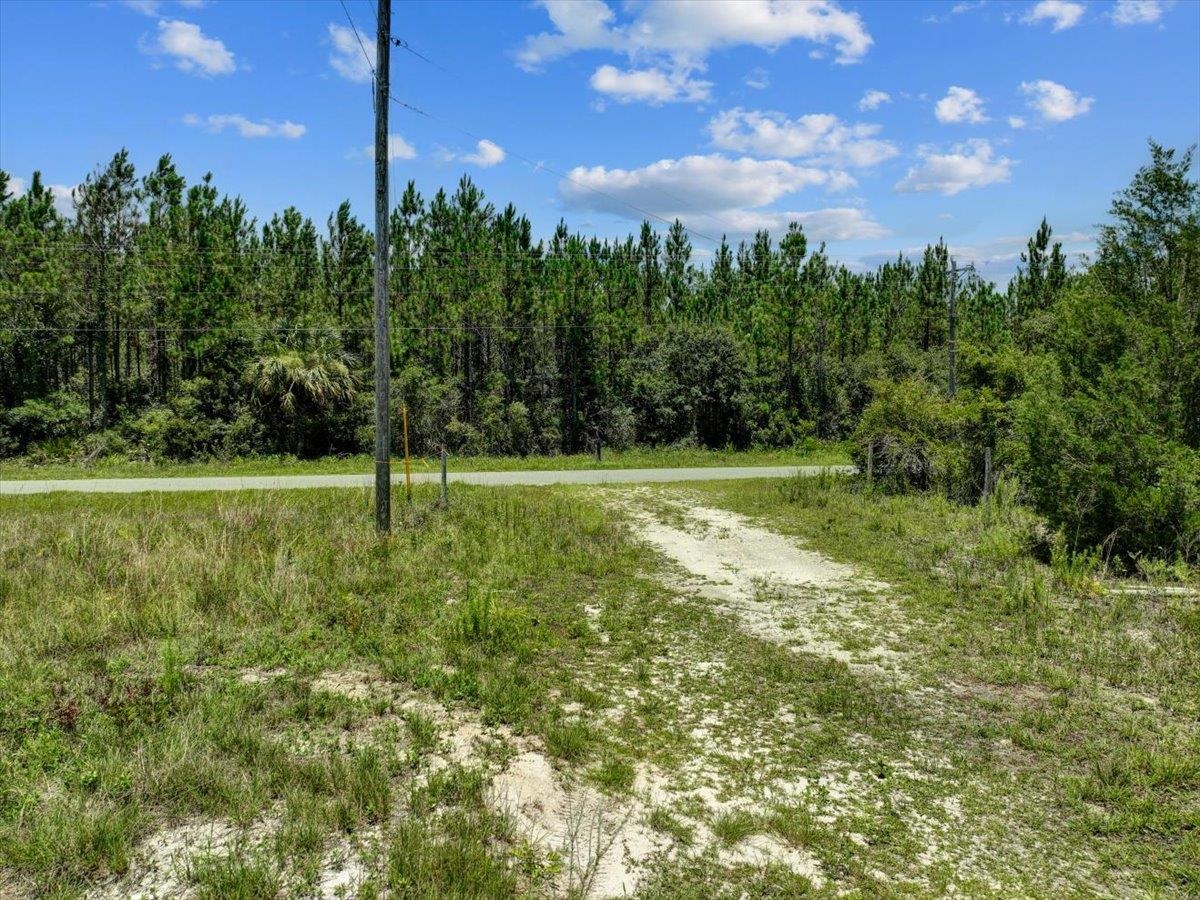 Ma Dixon Road, PERRY, Florida image 21