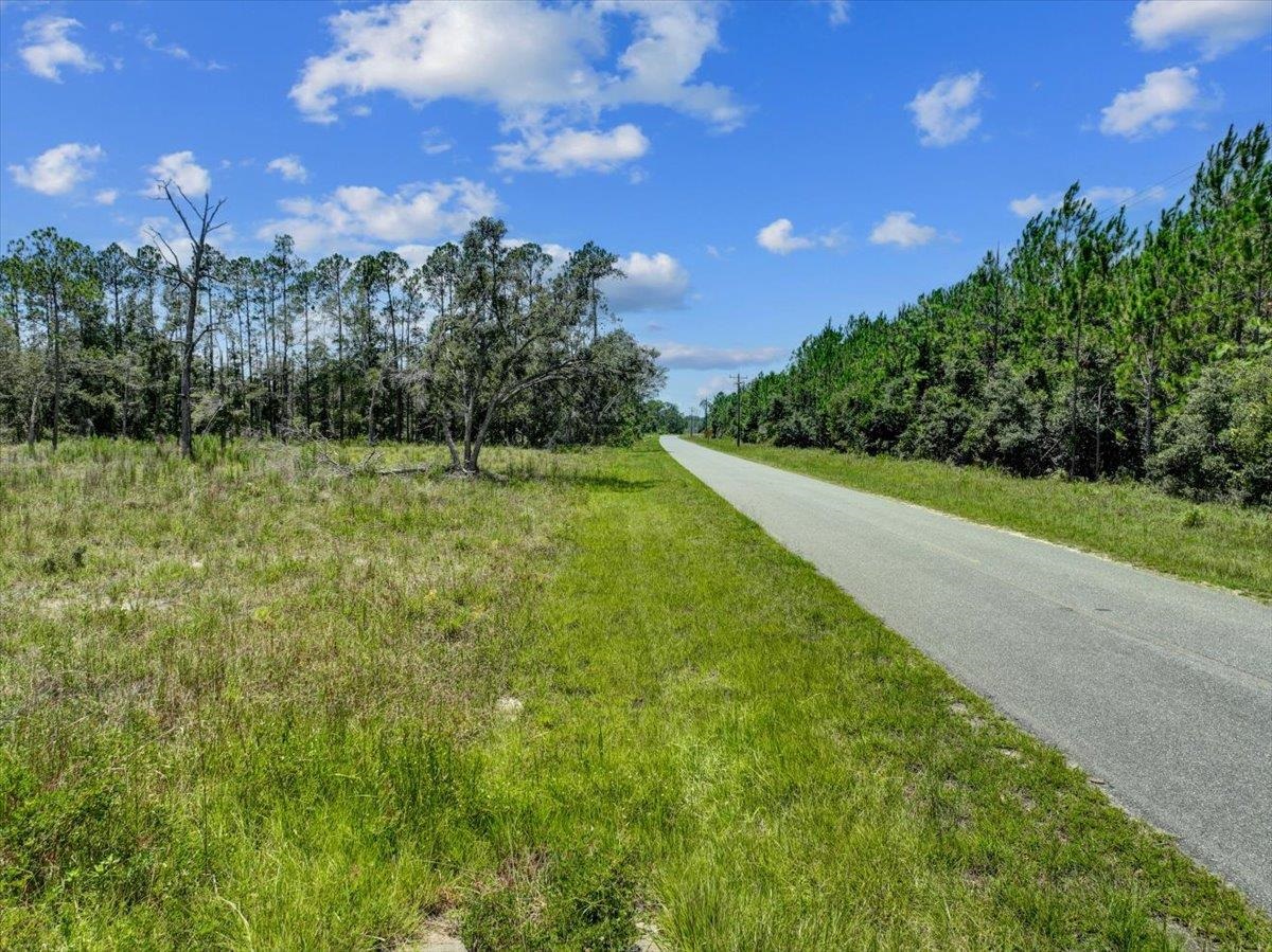 Ma Dixon Road, PERRY, Florida image 22