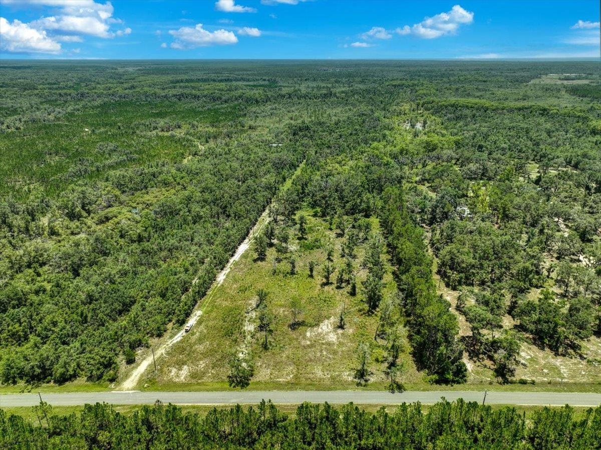 Ma Dixon Road, PERRY, Florida image 6