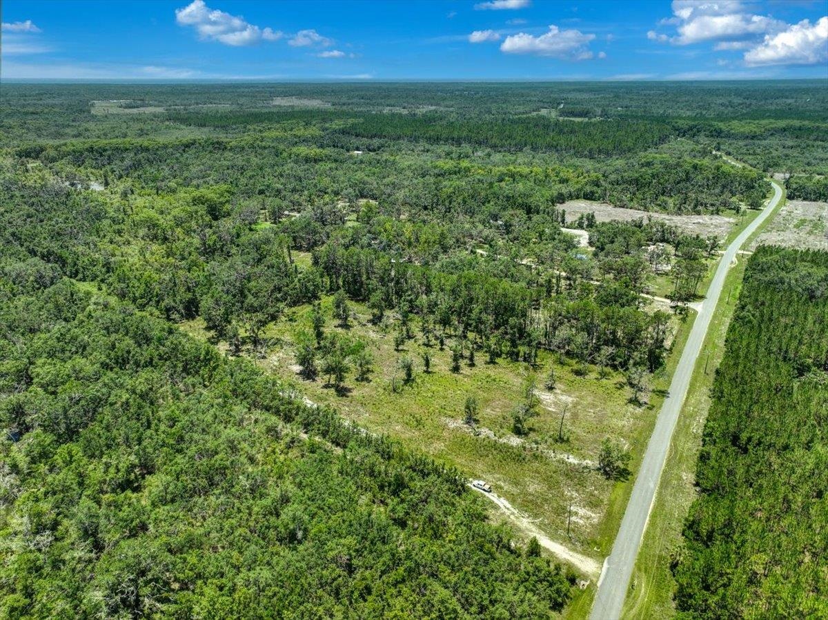 Ma Dixon Road, PERRY, Florida image 8