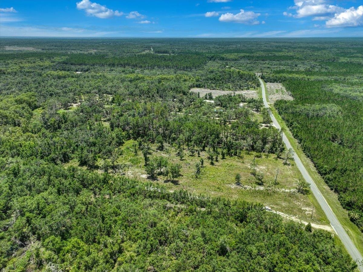 Ma Dixon Road, PERRY, Florida image 9