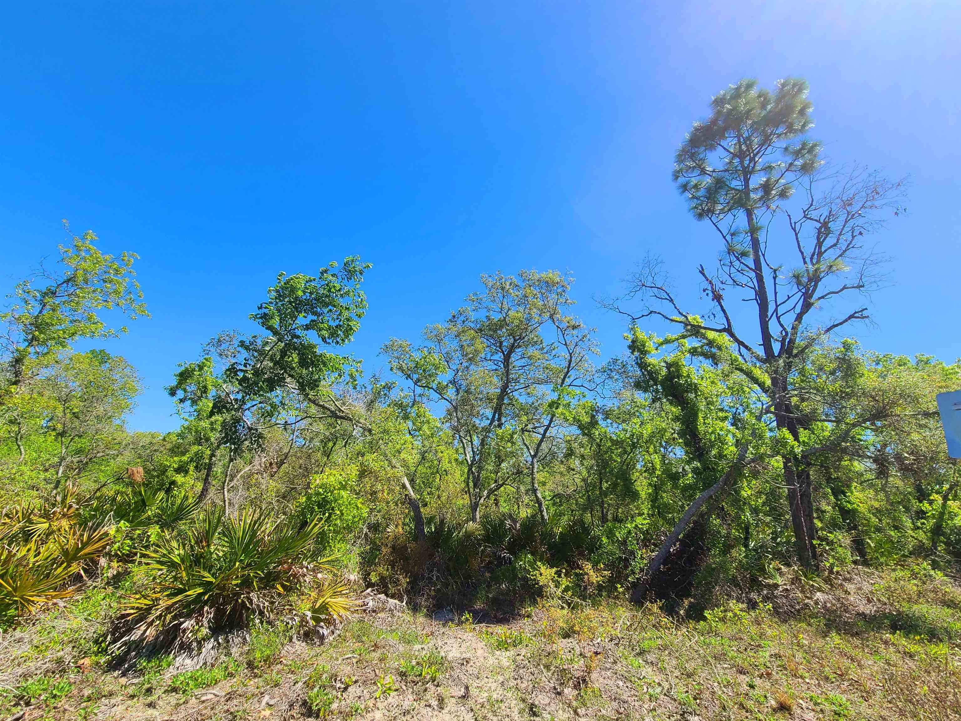 15847 Beach Road, Perry, Florida image 8