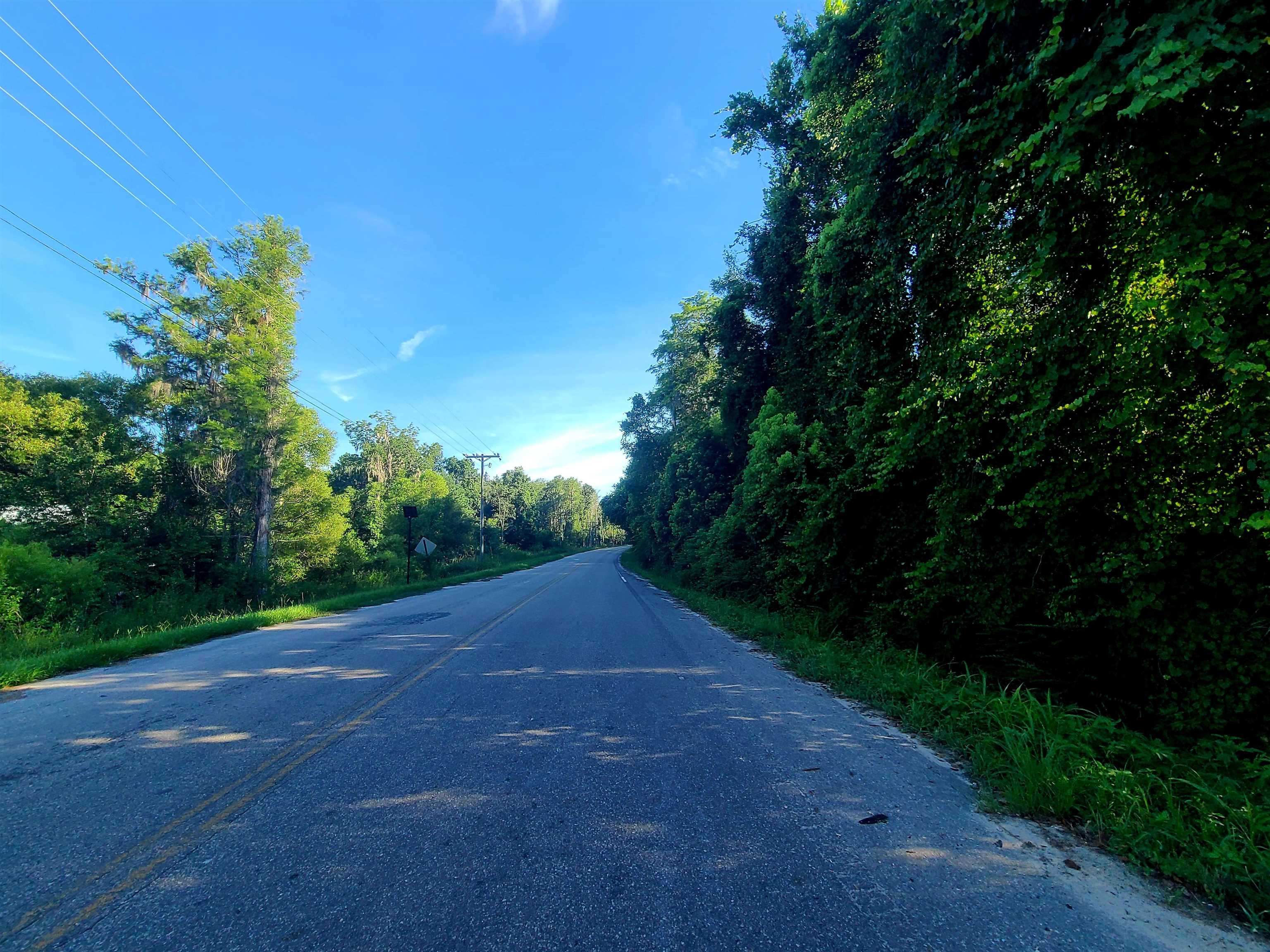 788 S Salt Road, MONTICELLO, Florida image 9