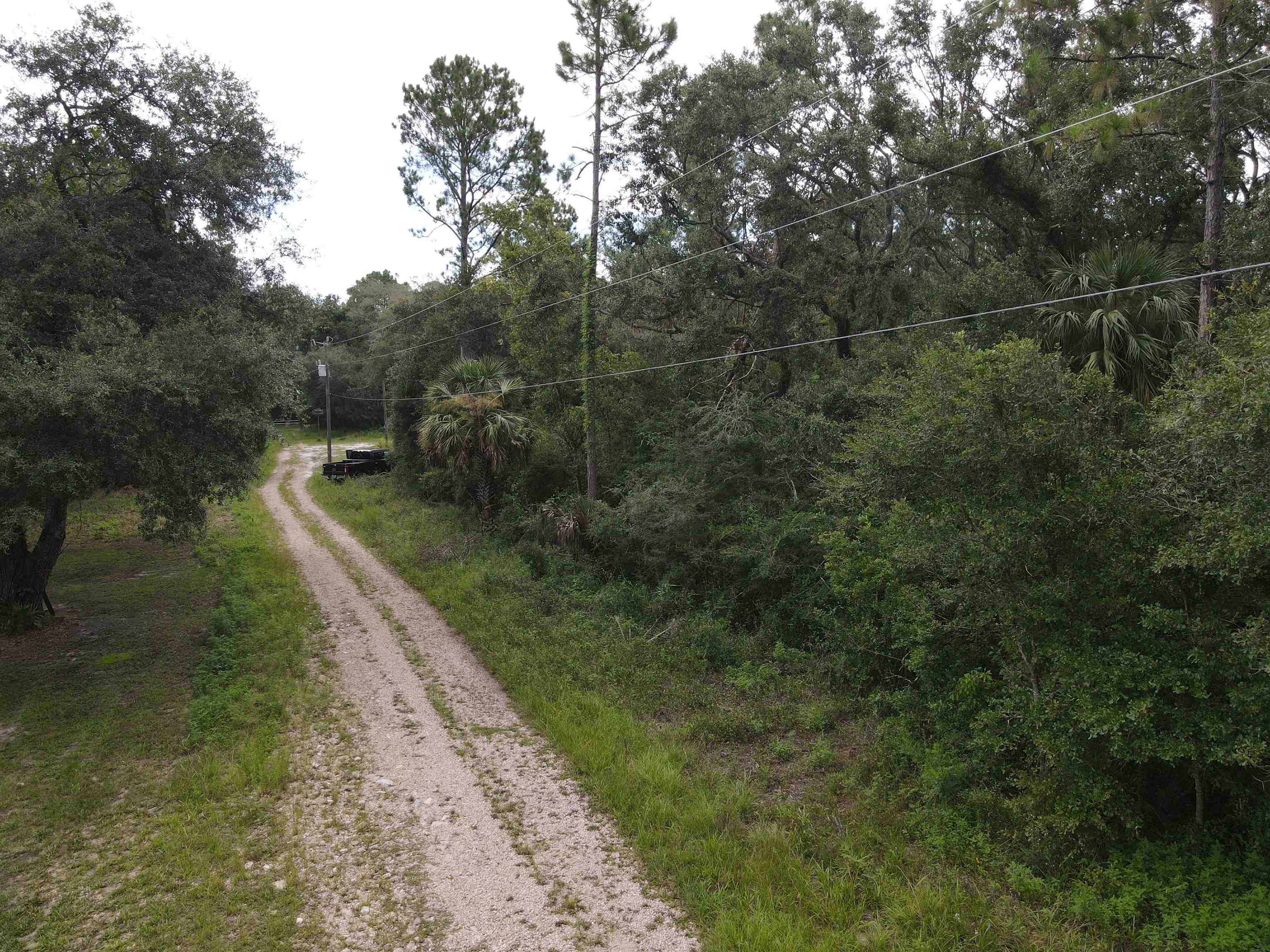 Vacant Kays Rd., Perry, Florida image 1