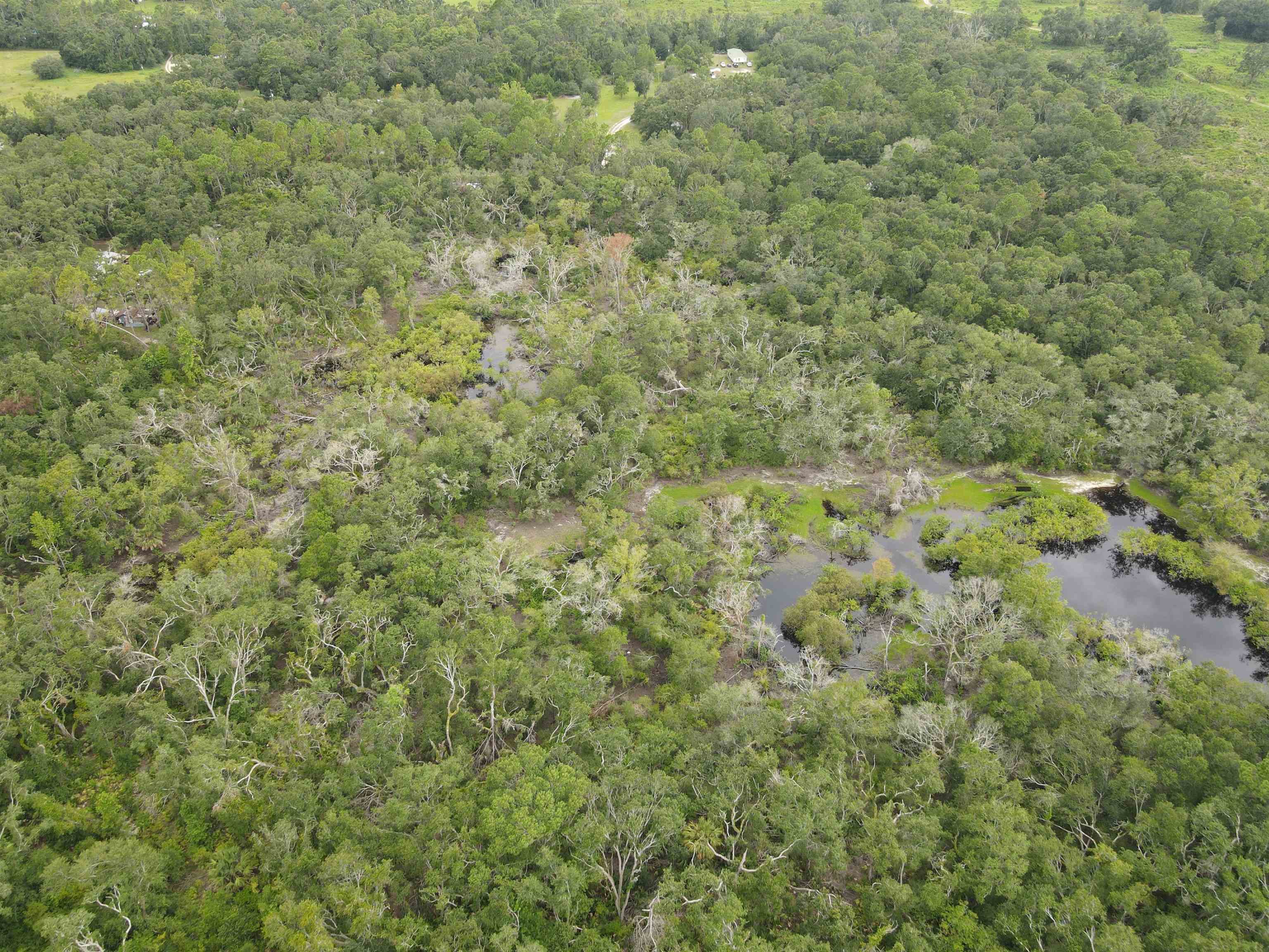 Vacant Kays Rd., Perry, Florida image 10