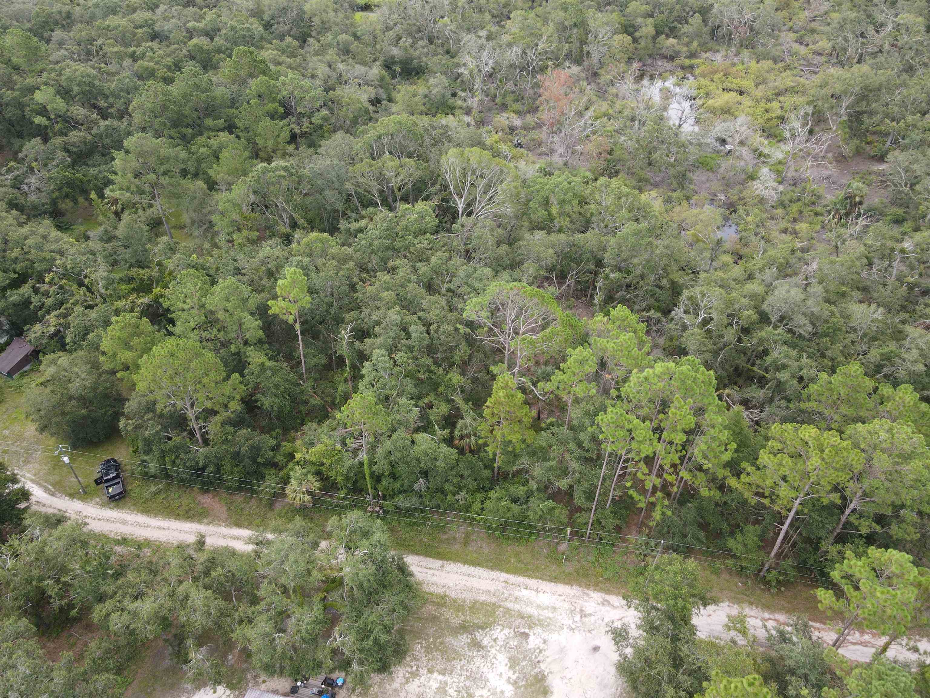 Vacant Kays Rd., Perry, Florida image 11