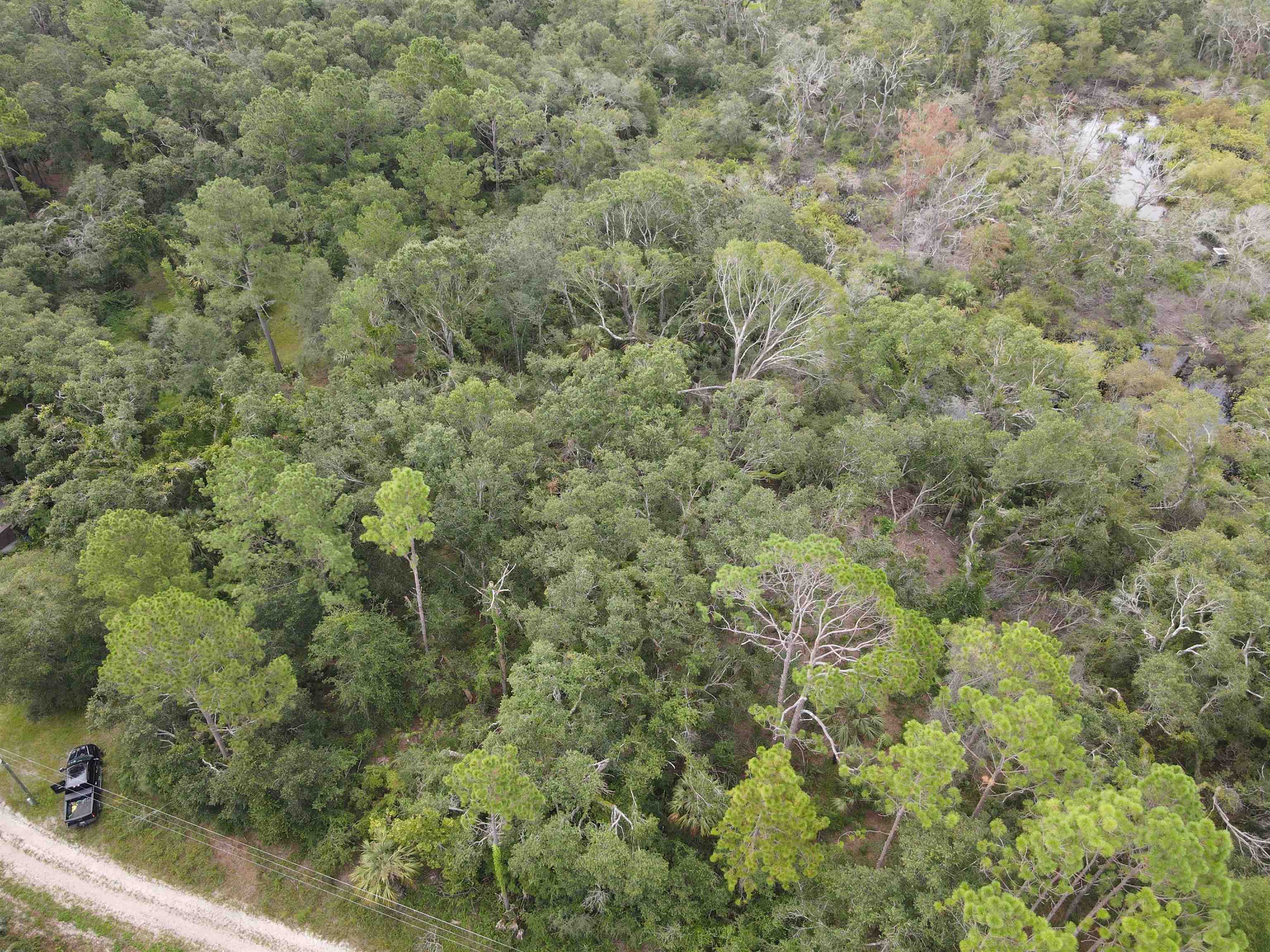 Vacant Kays Rd., Perry, Florida image 12