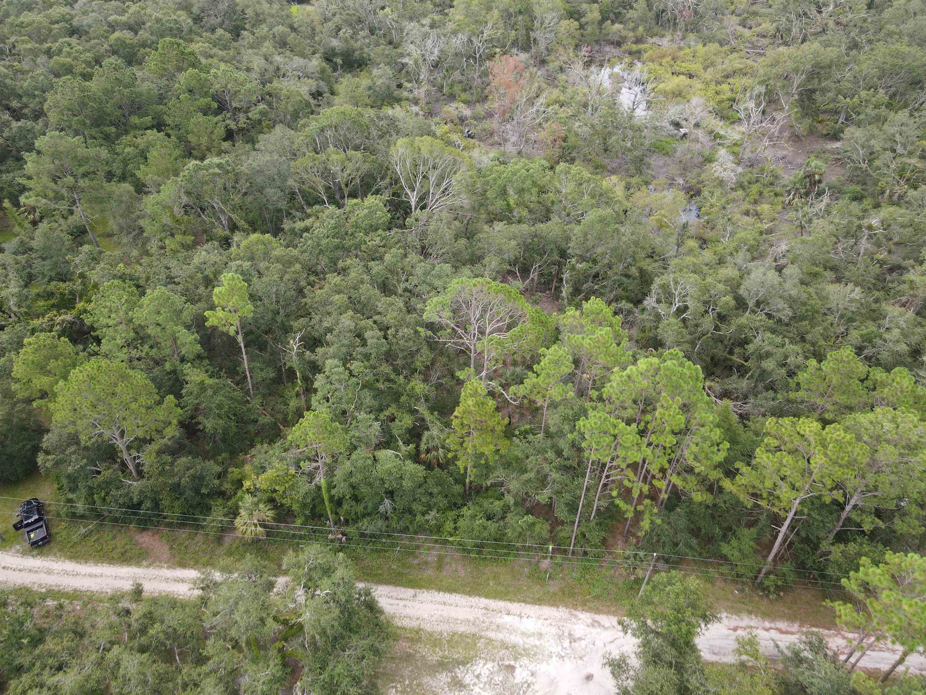 Vacant Kays Rd., Perry, Florida image 13