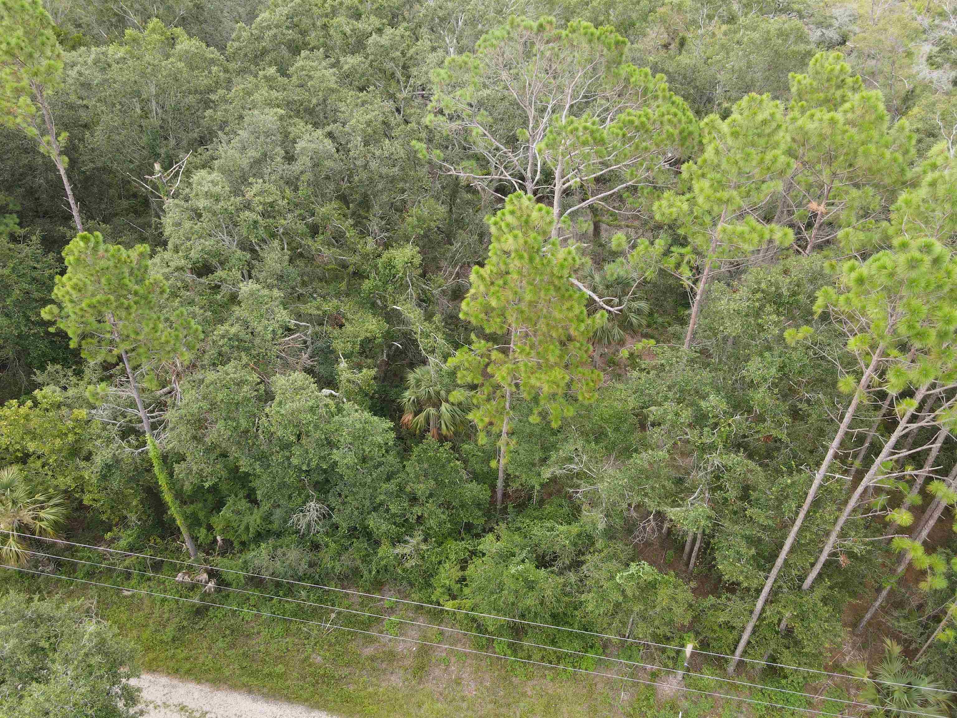 Vacant Kays Rd., Perry, Florida image 14