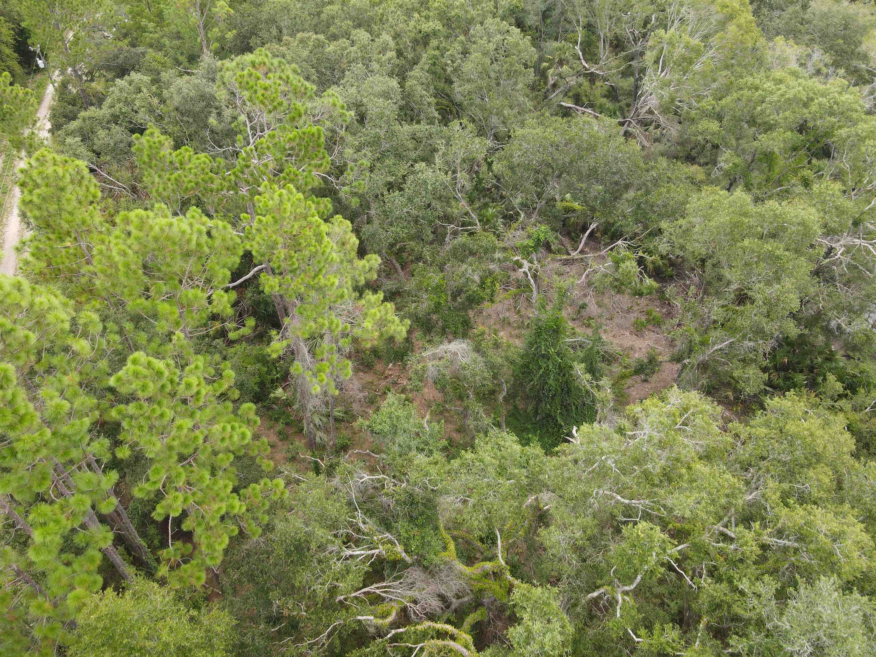 Vacant Kays Rd., Perry, Florida image 17