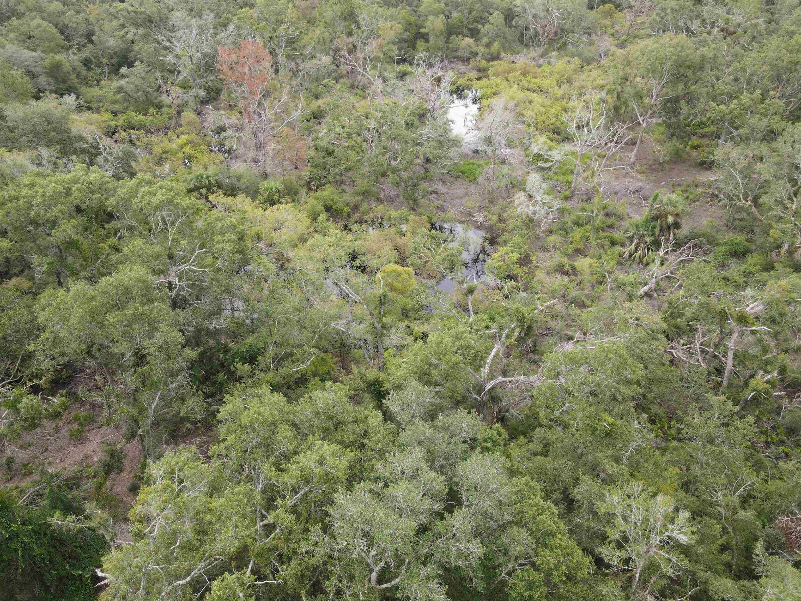 Vacant Kays Rd., Perry, Florida image 18