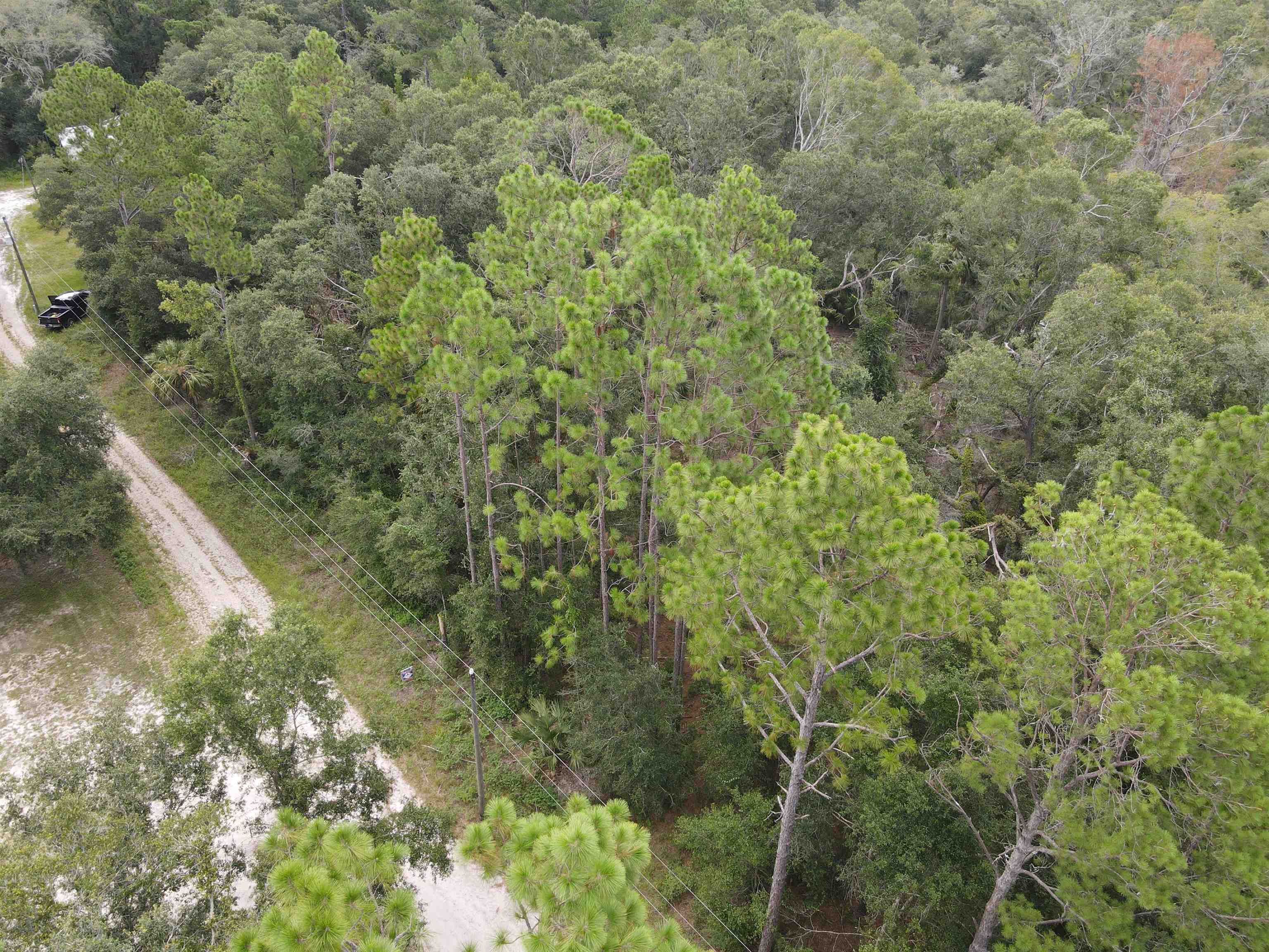 Vacant Kays Rd., Perry, Florida image 19